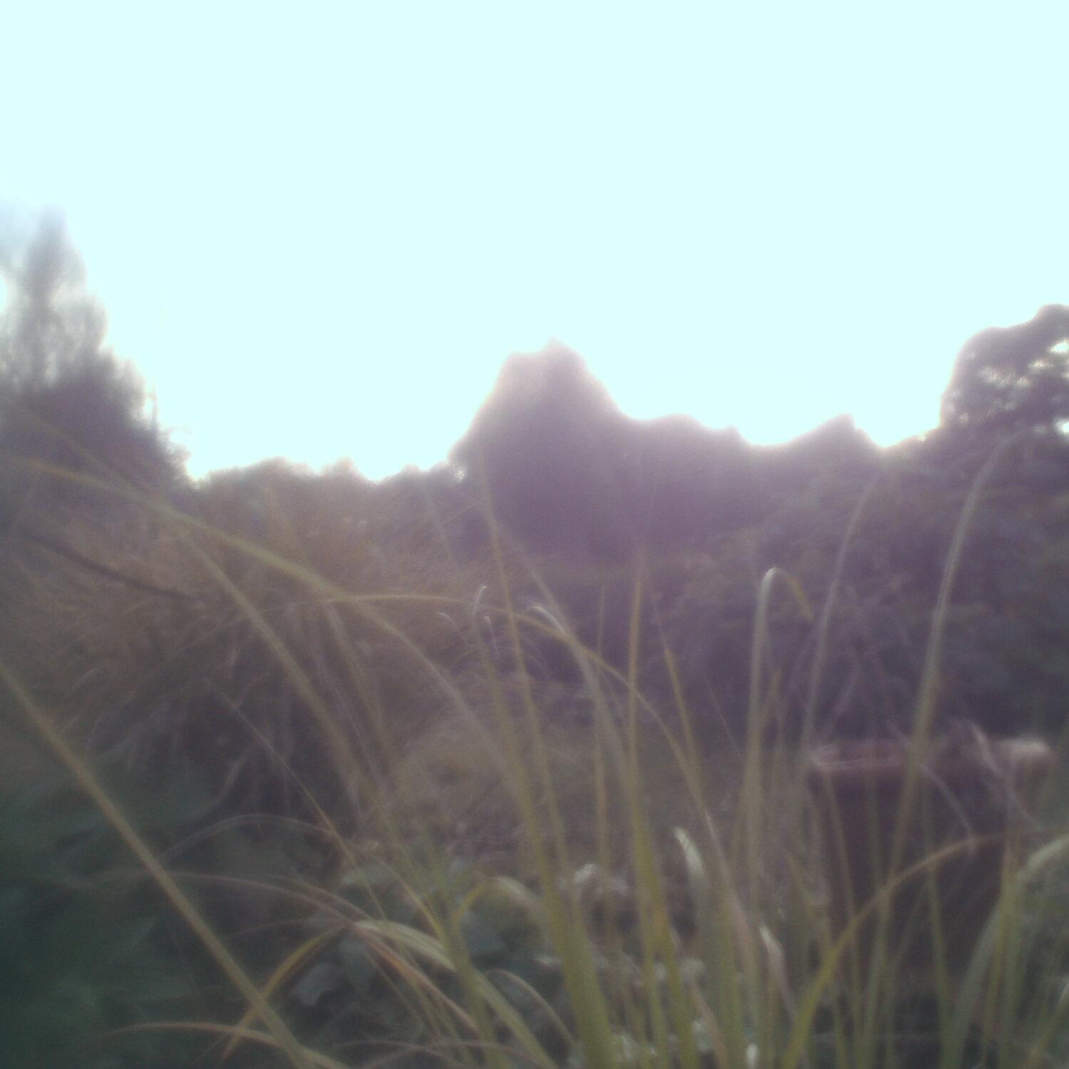A photo captured from the webcam at the time the audio was recorded