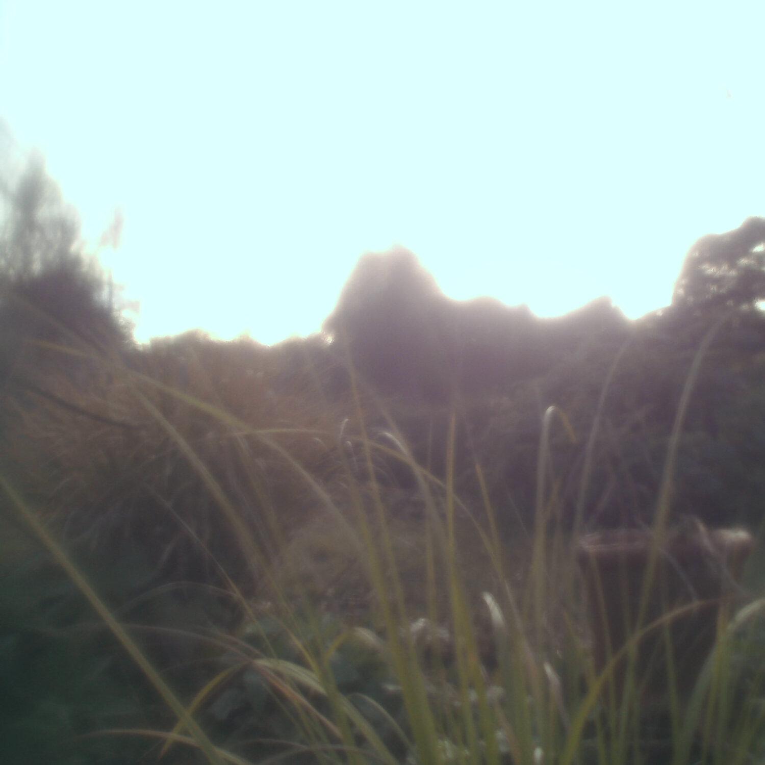 A photo captured from the webcam at the time the audio was recorded