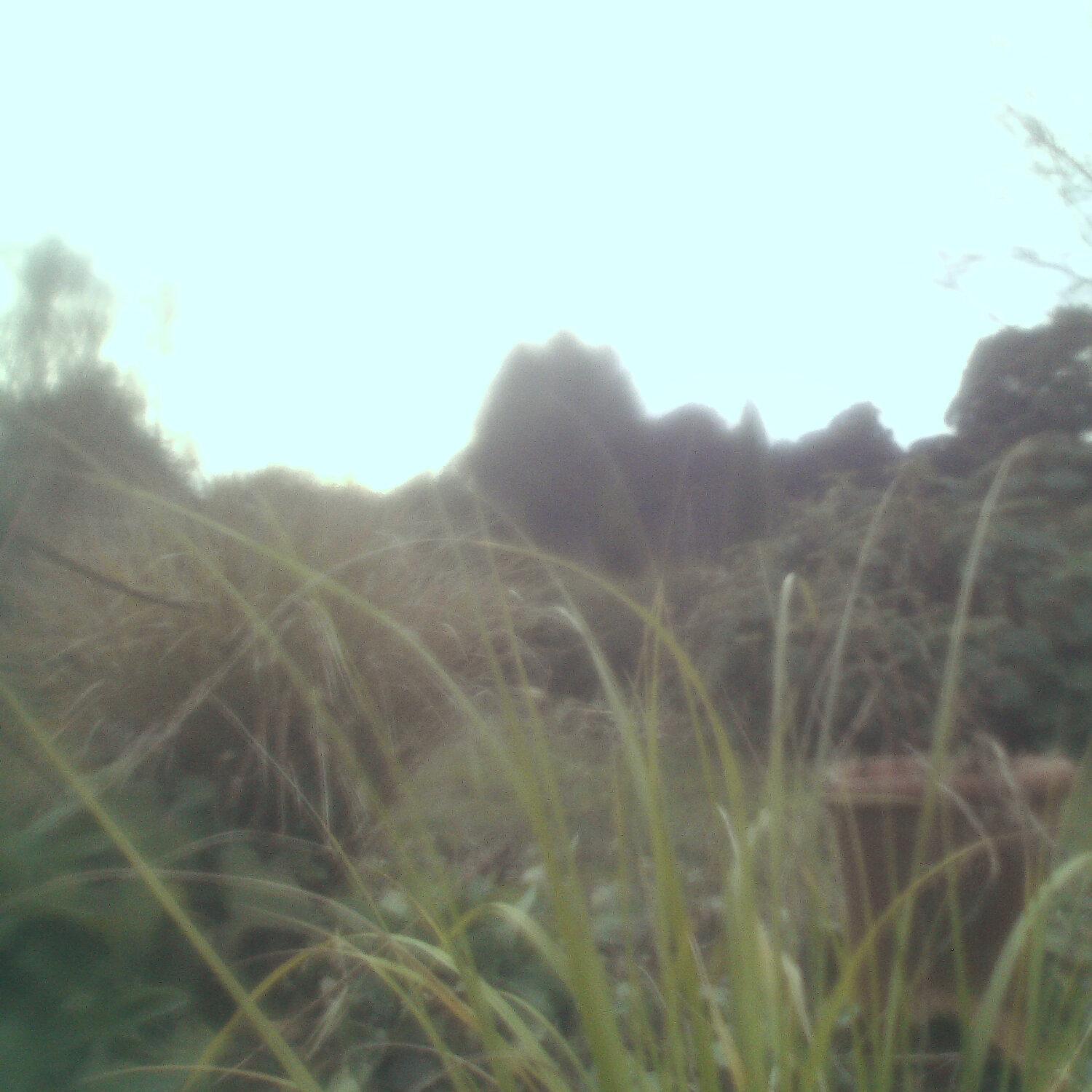 A photo captured from the webcam at the time the audio was recorded