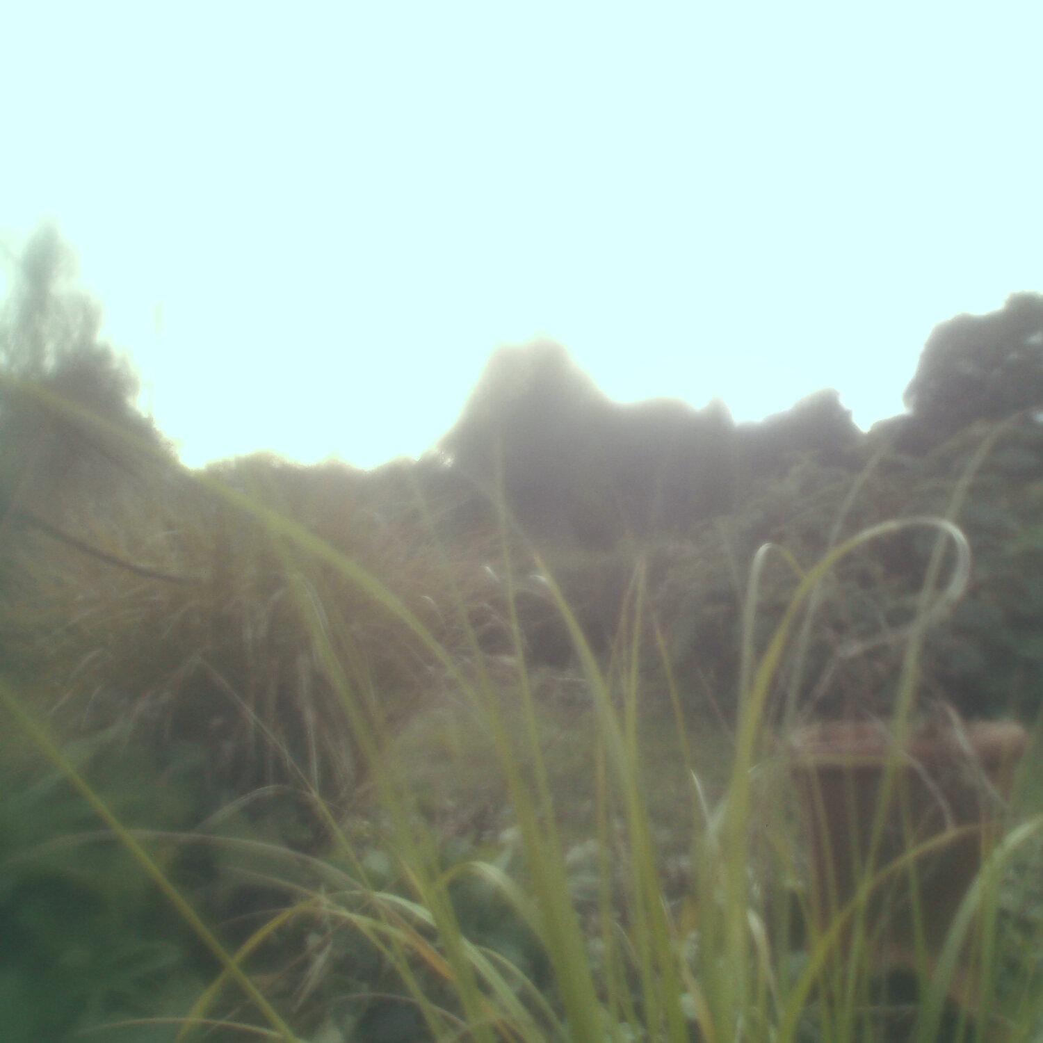 A photo captured from the webcam at the time the audio was recorded
