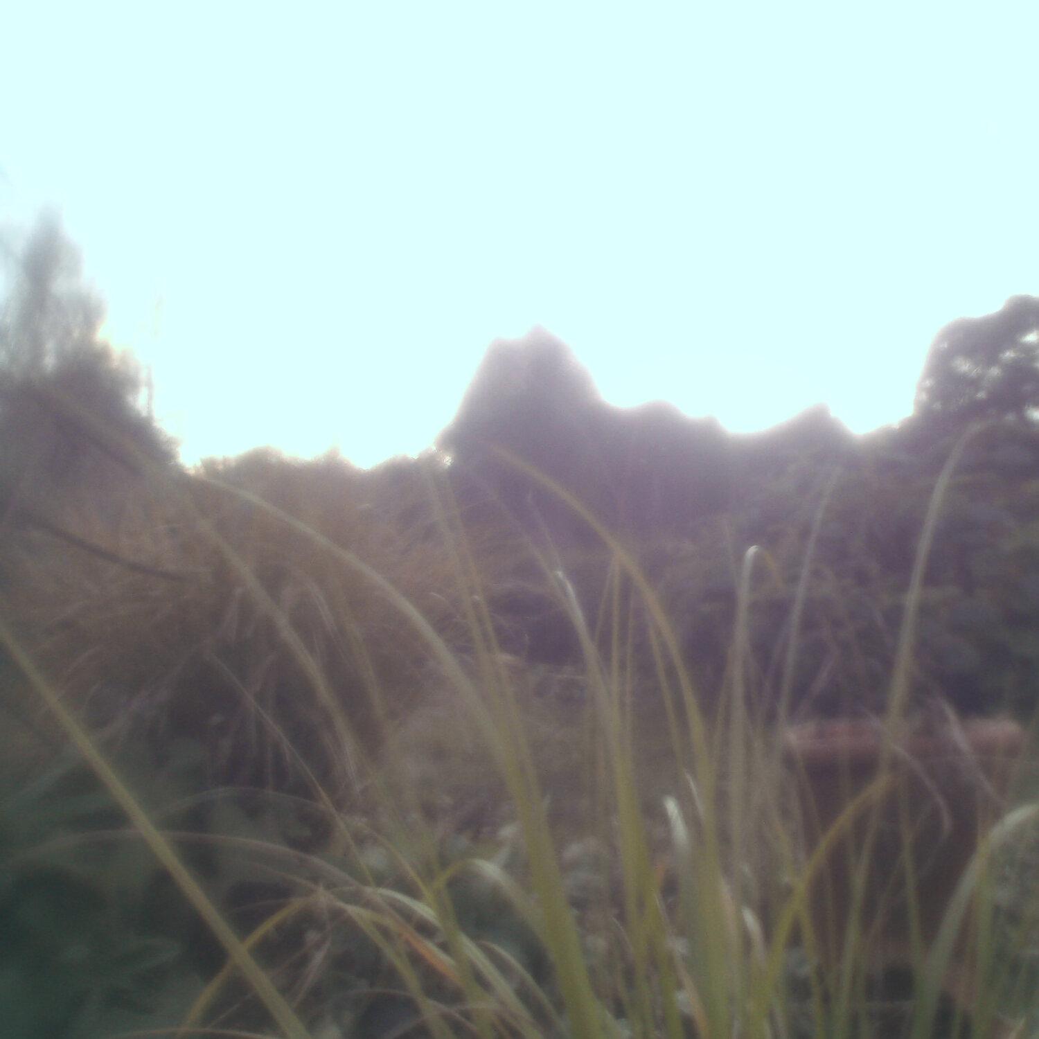 A photo captured from the webcam at the time the audio was recorded