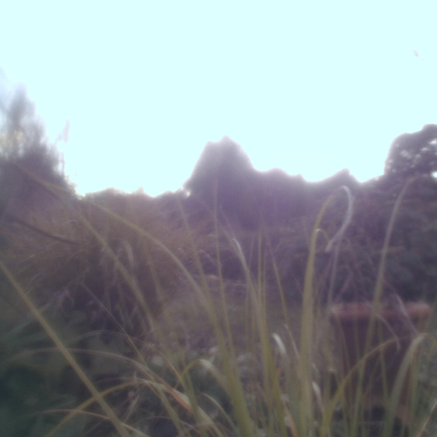A photo captured from the webcam at the time the audio was recorded