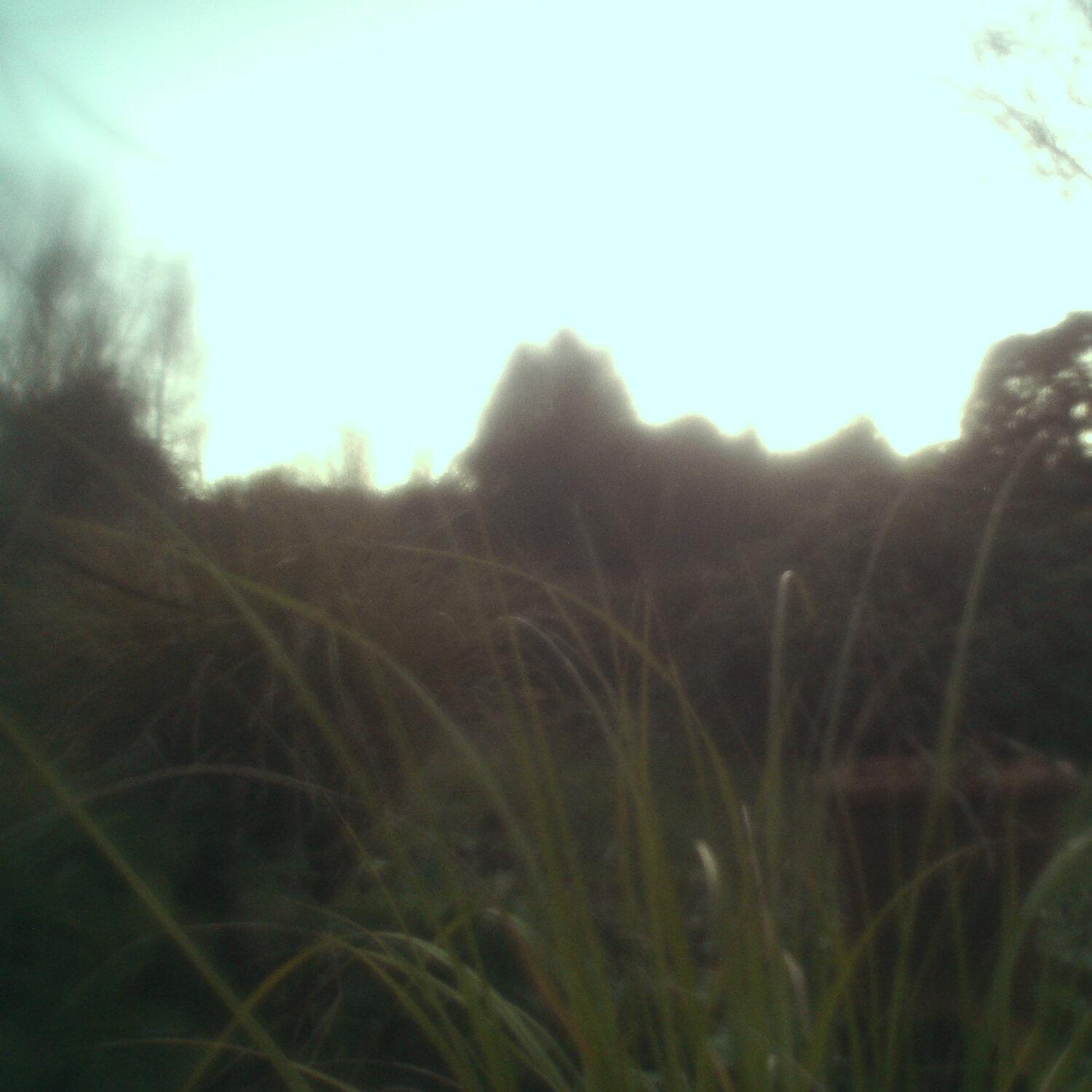 A photo captured from the webcam at the time the audio was recorded