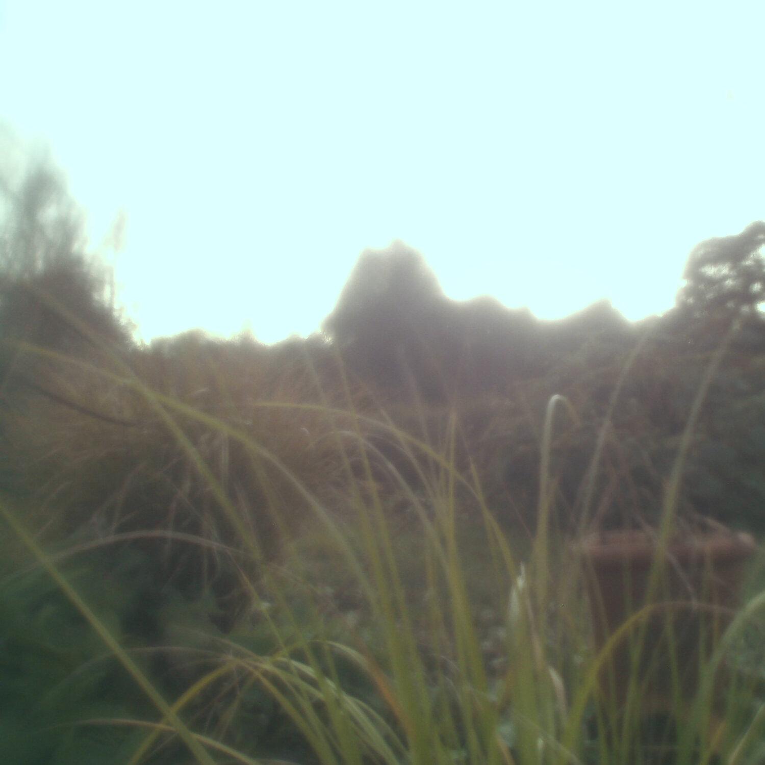 A photo captured from the webcam at the time the audio was recorded