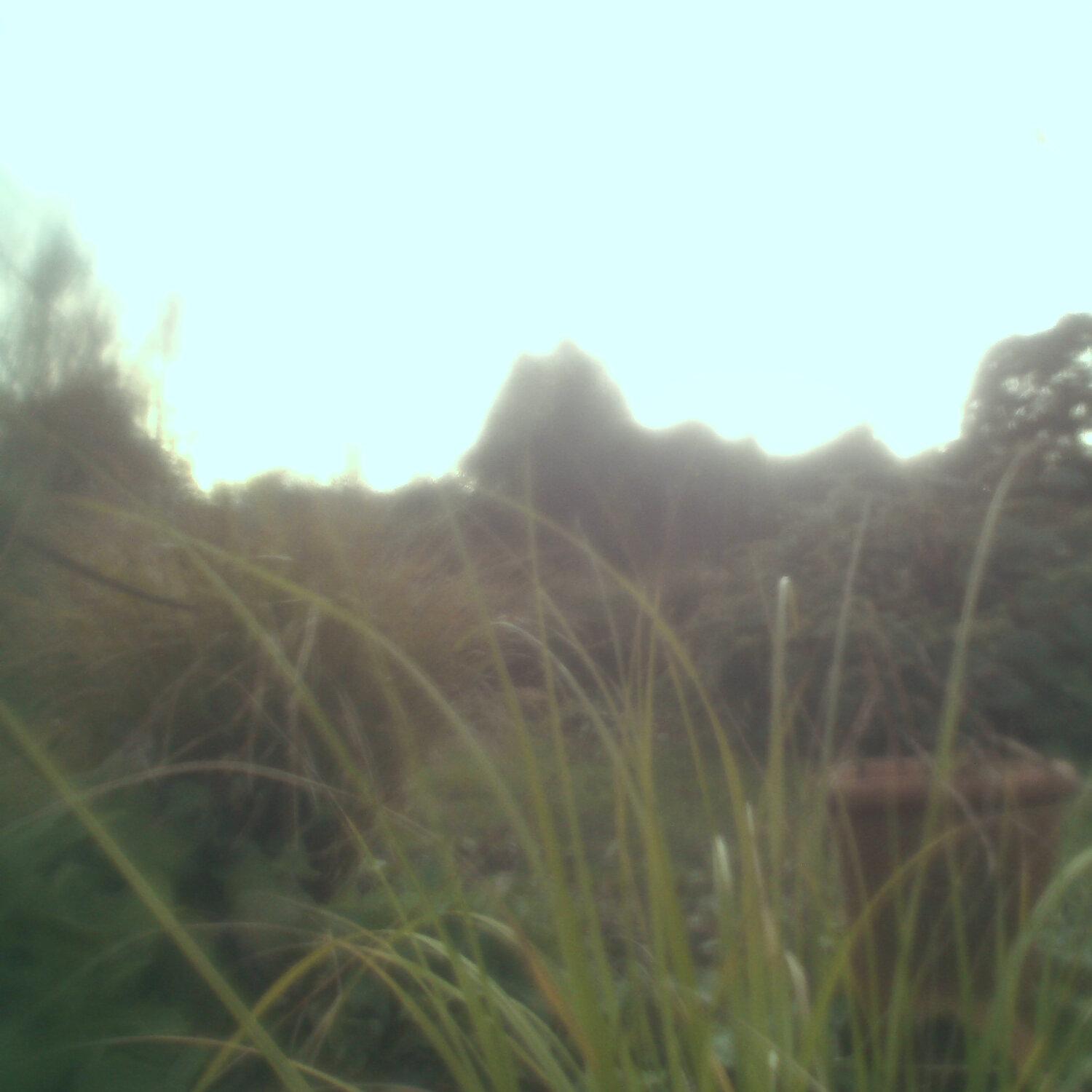 A photo captured from the webcam at the time the audio was recorded