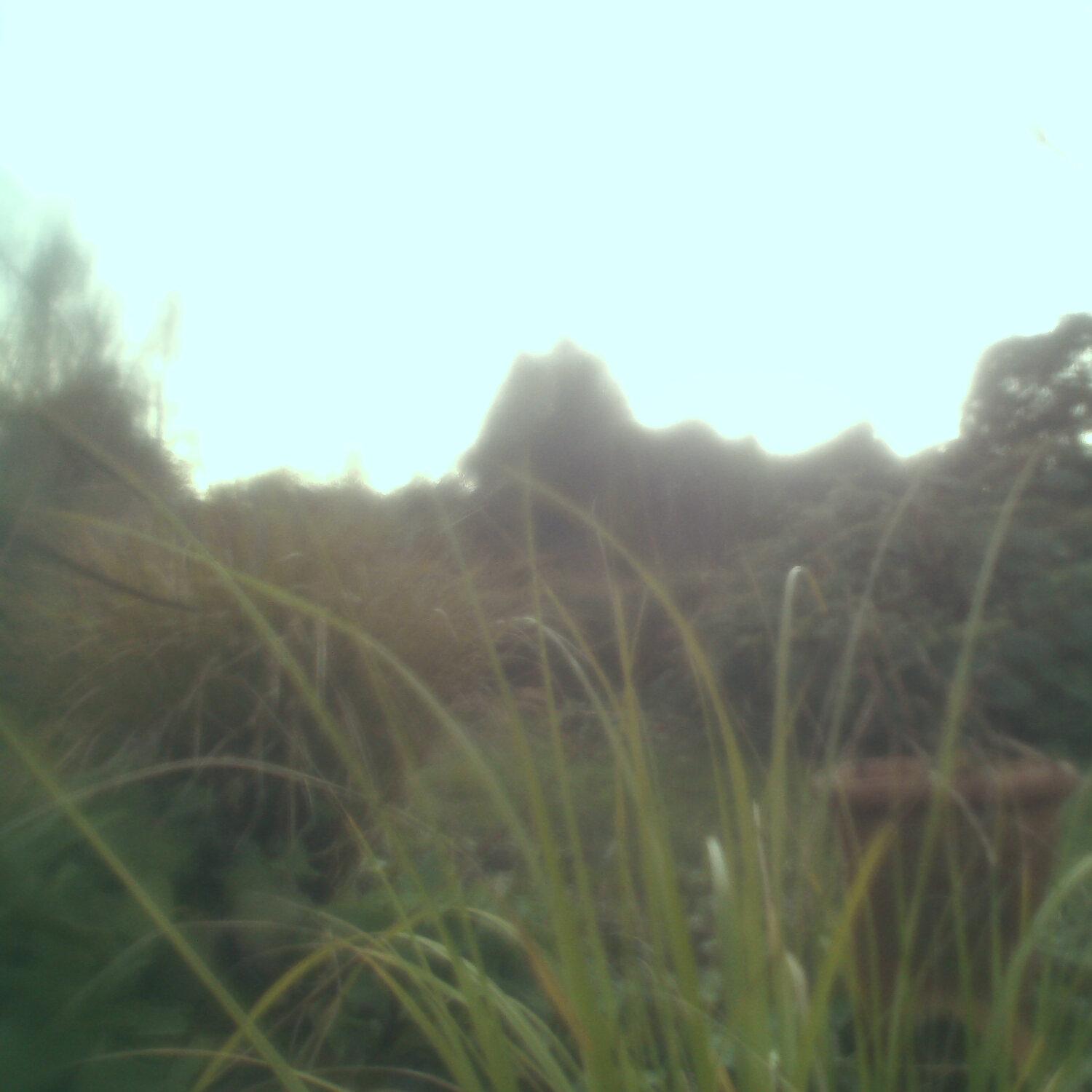 A photo captured from the webcam at the time the audio was recorded