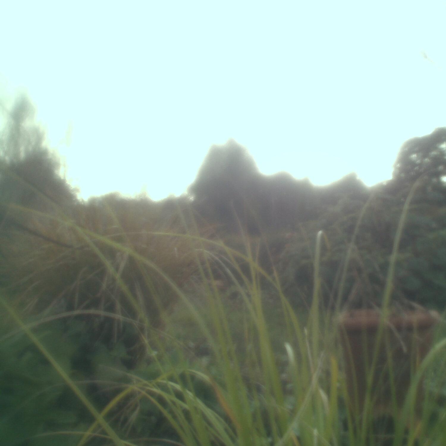 A photo captured from the webcam at the time the audio was recorded