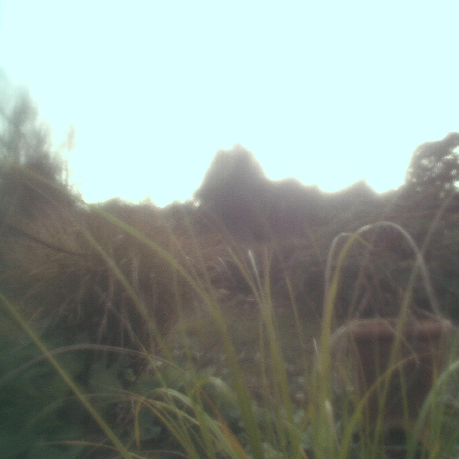 A photo captured from the webcam at the time the audio was recorded