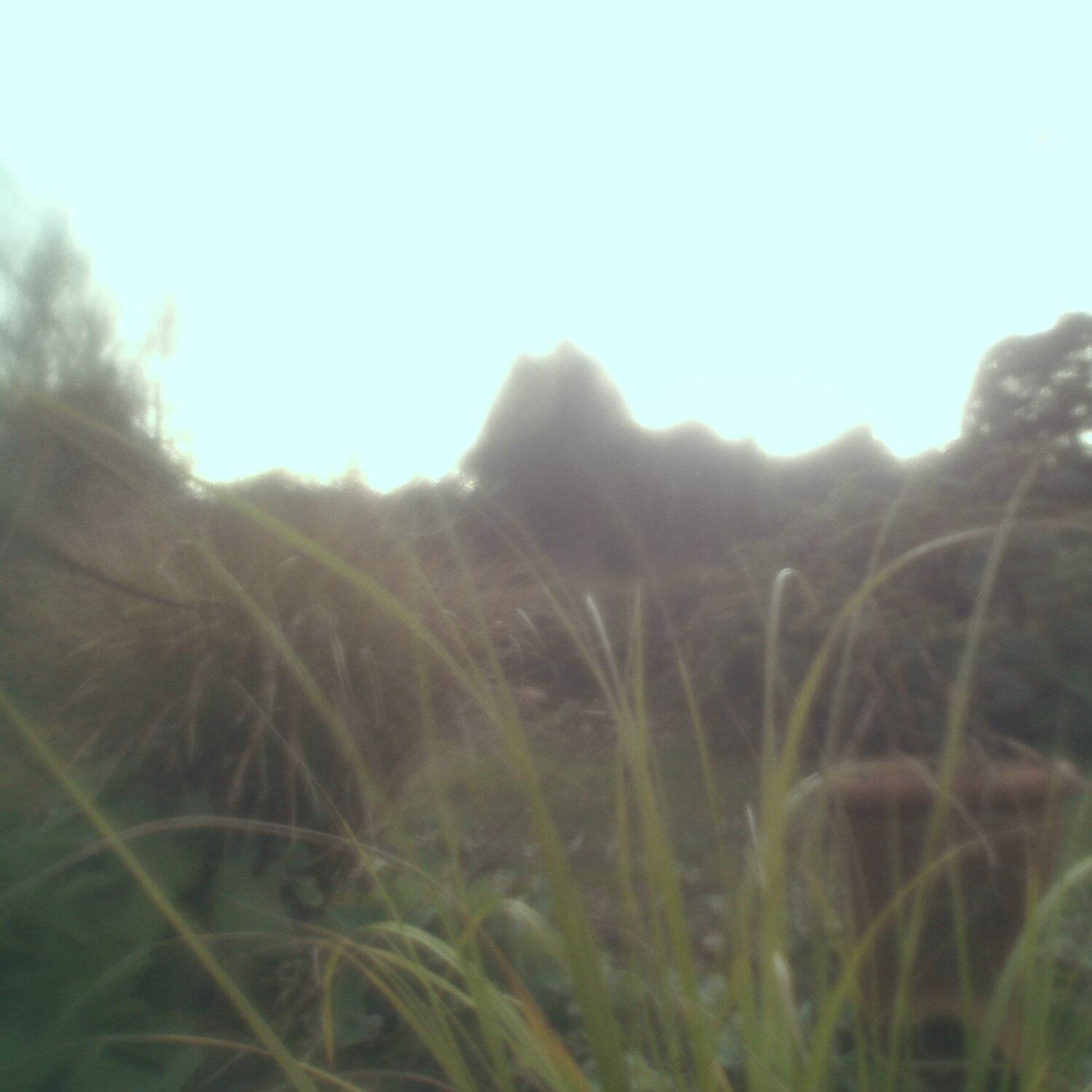 A photo captured from the webcam at the time the audio was recorded