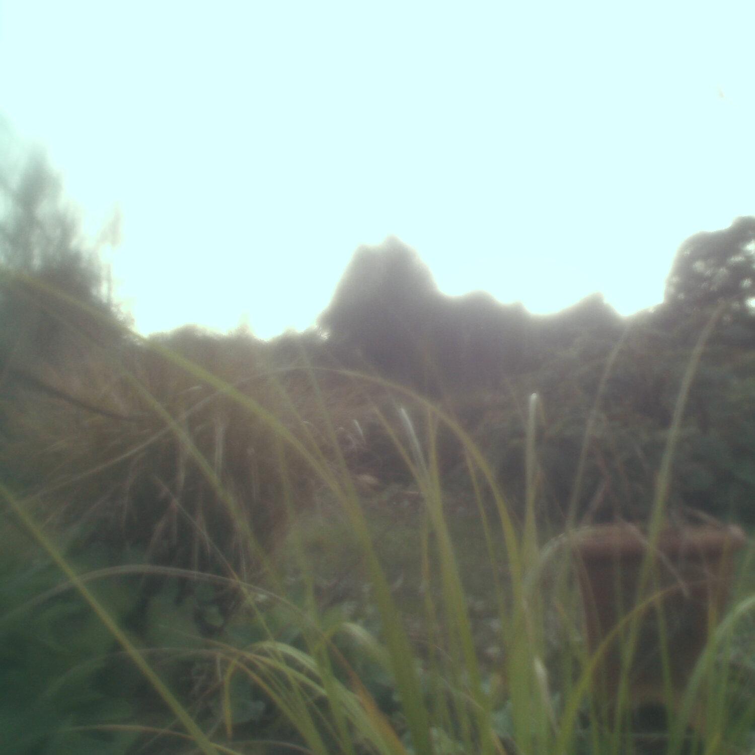 A photo captured from the webcam at the time the audio was recorded