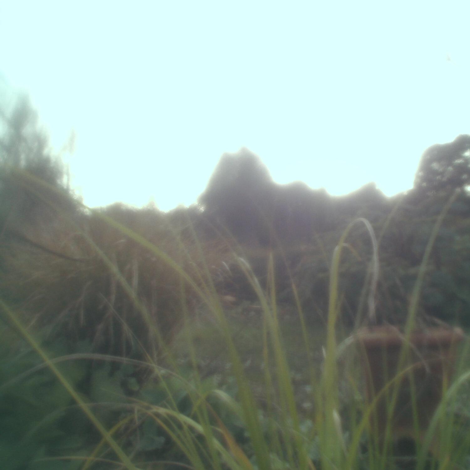 A photo captured from the webcam at the time the audio was recorded