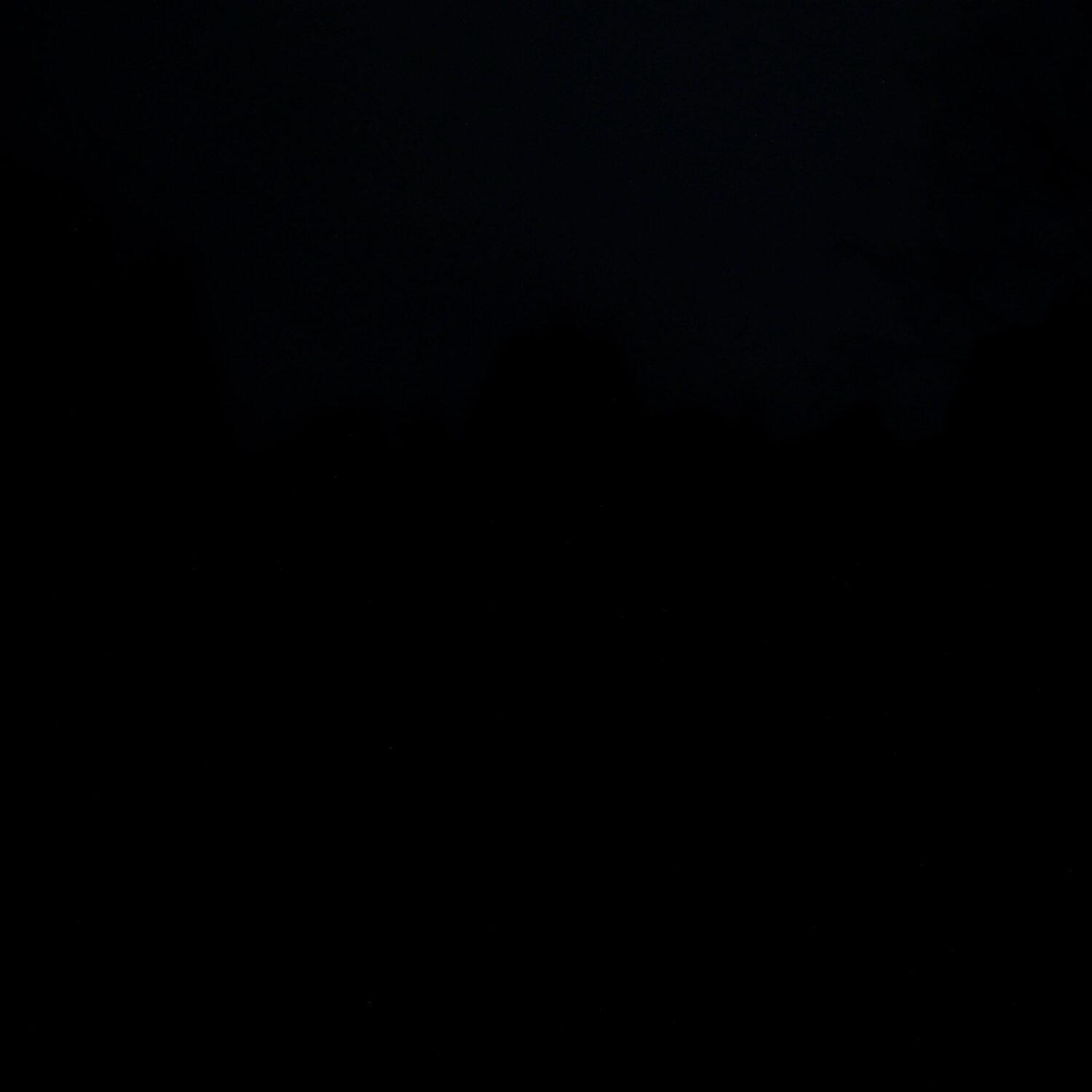 A photo captured from the webcam at the time the audio was recorded