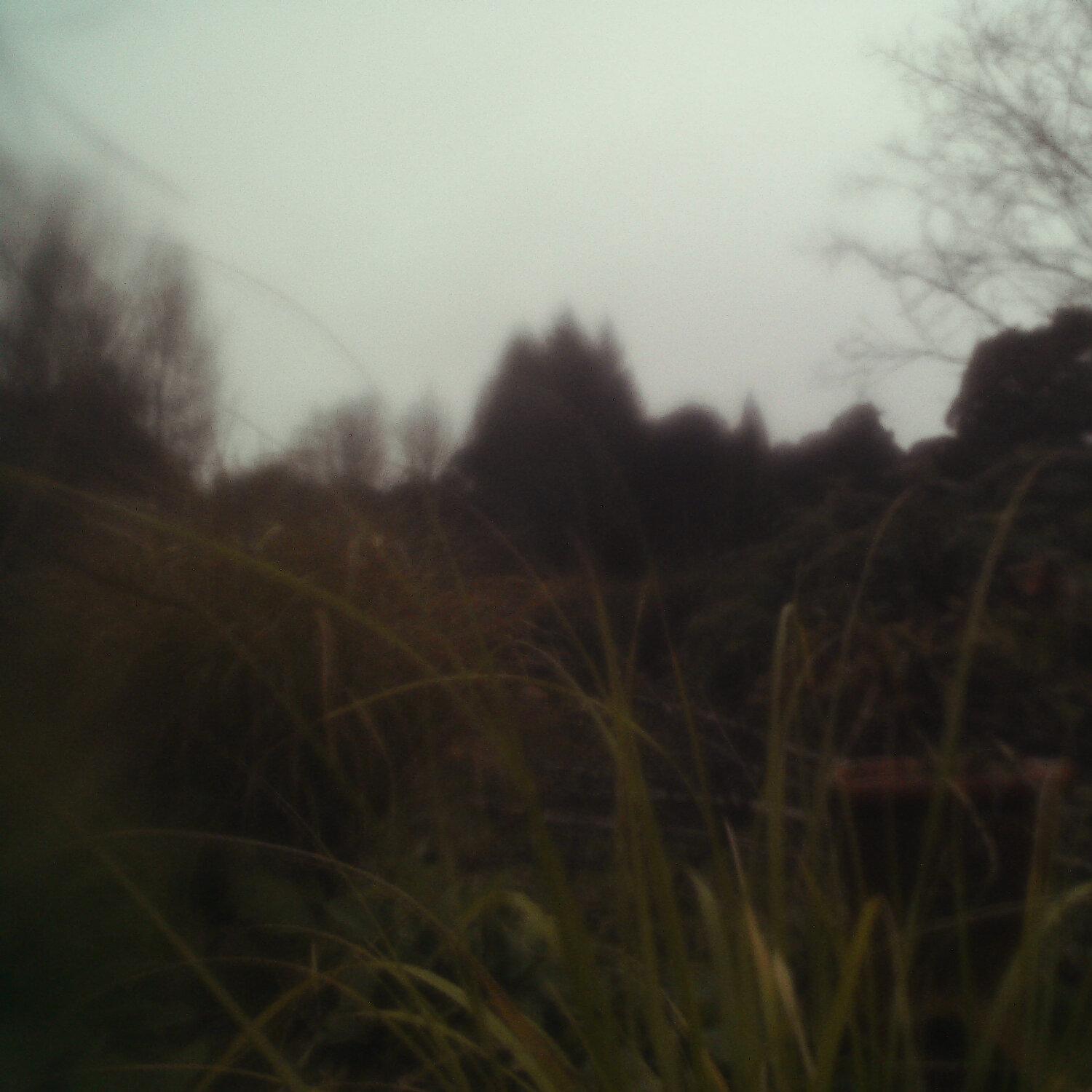 A photo captured from the webcam at the time the audio was recorded