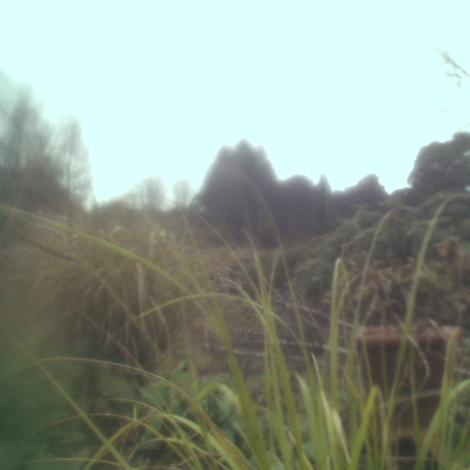 A photo captured from the webcam at the time the audio was recorded