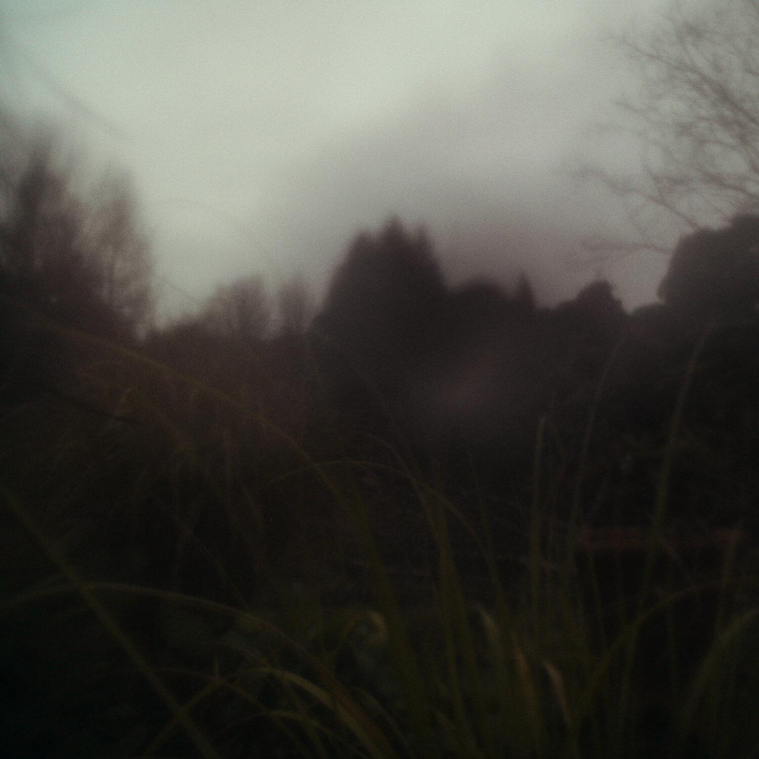 A photo captured from the webcam at the time the audio was recorded