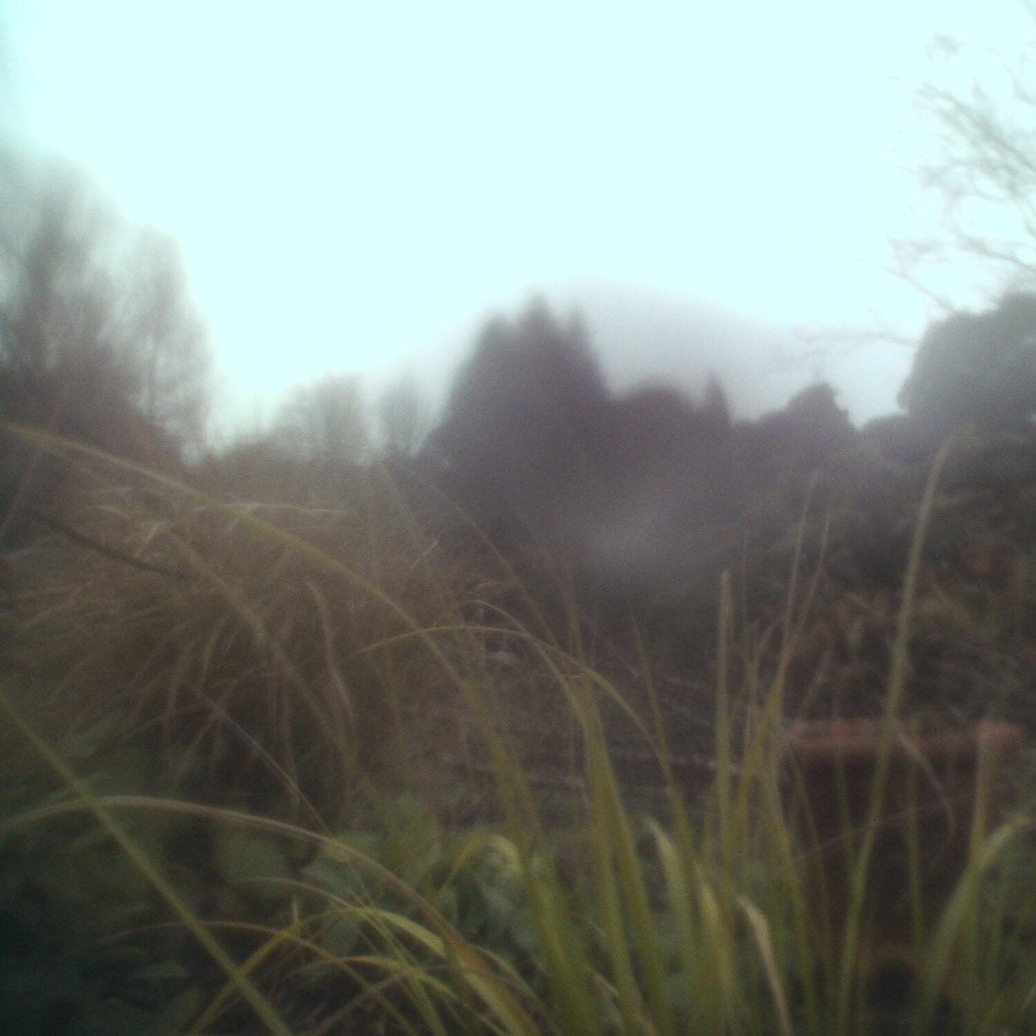 A photo captured from the webcam at the time the audio was recorded