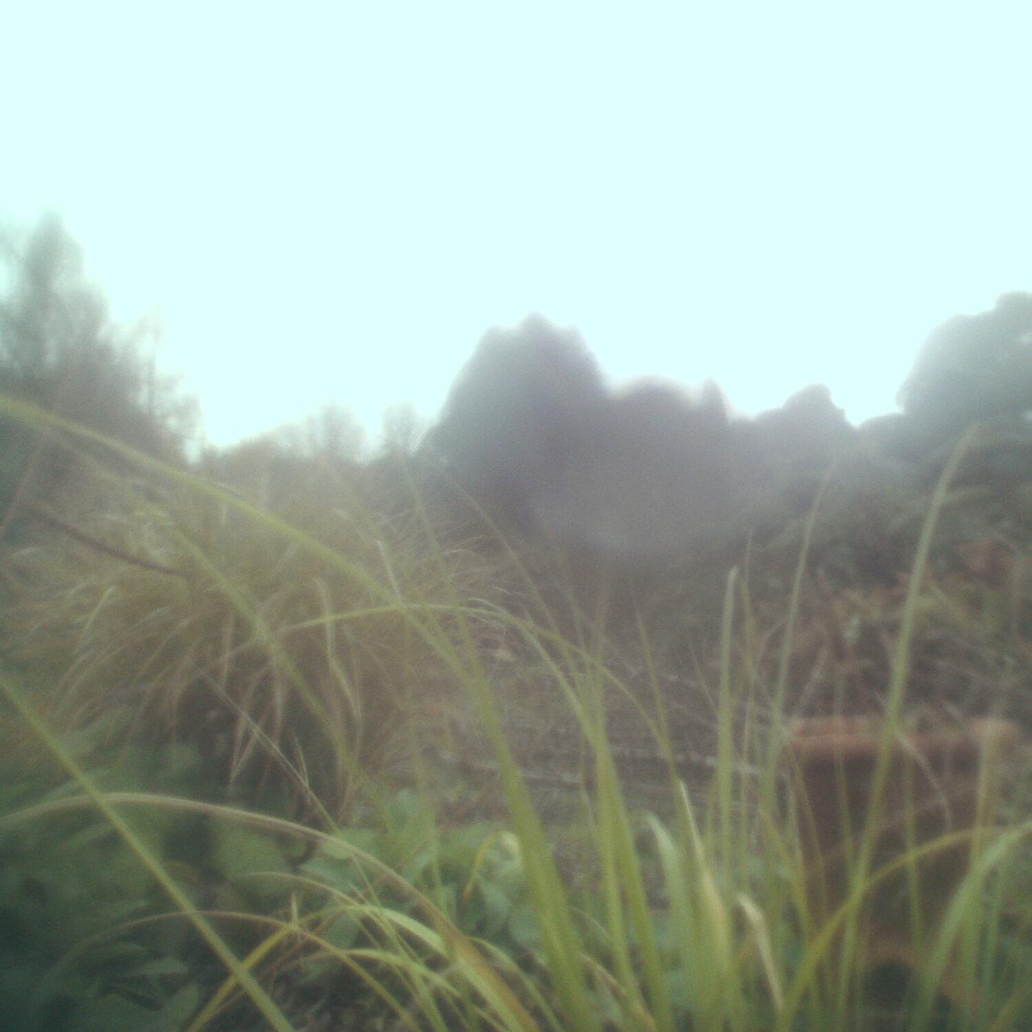 A photo captured from the webcam at the time the audio was recorded