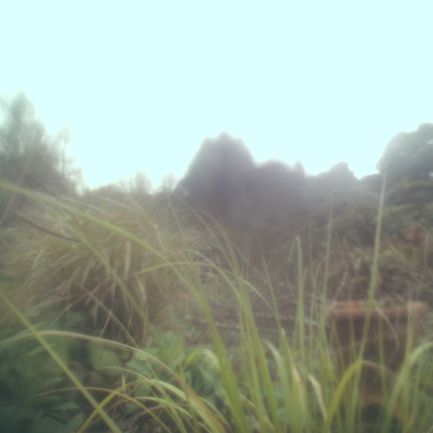 A photo captured from the webcam at the time the audio was recorded