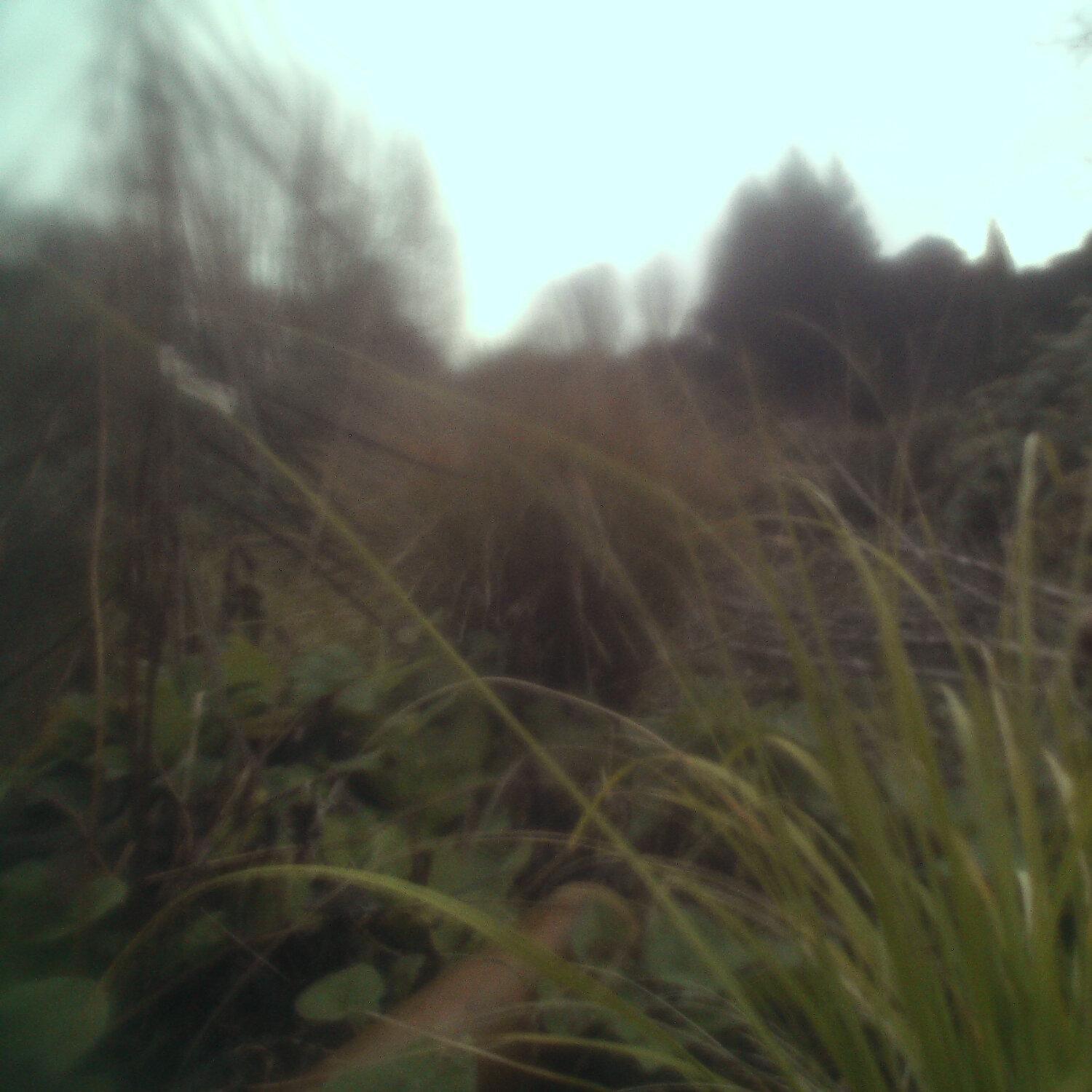 A photo captured from the webcam at the time the audio was recorded