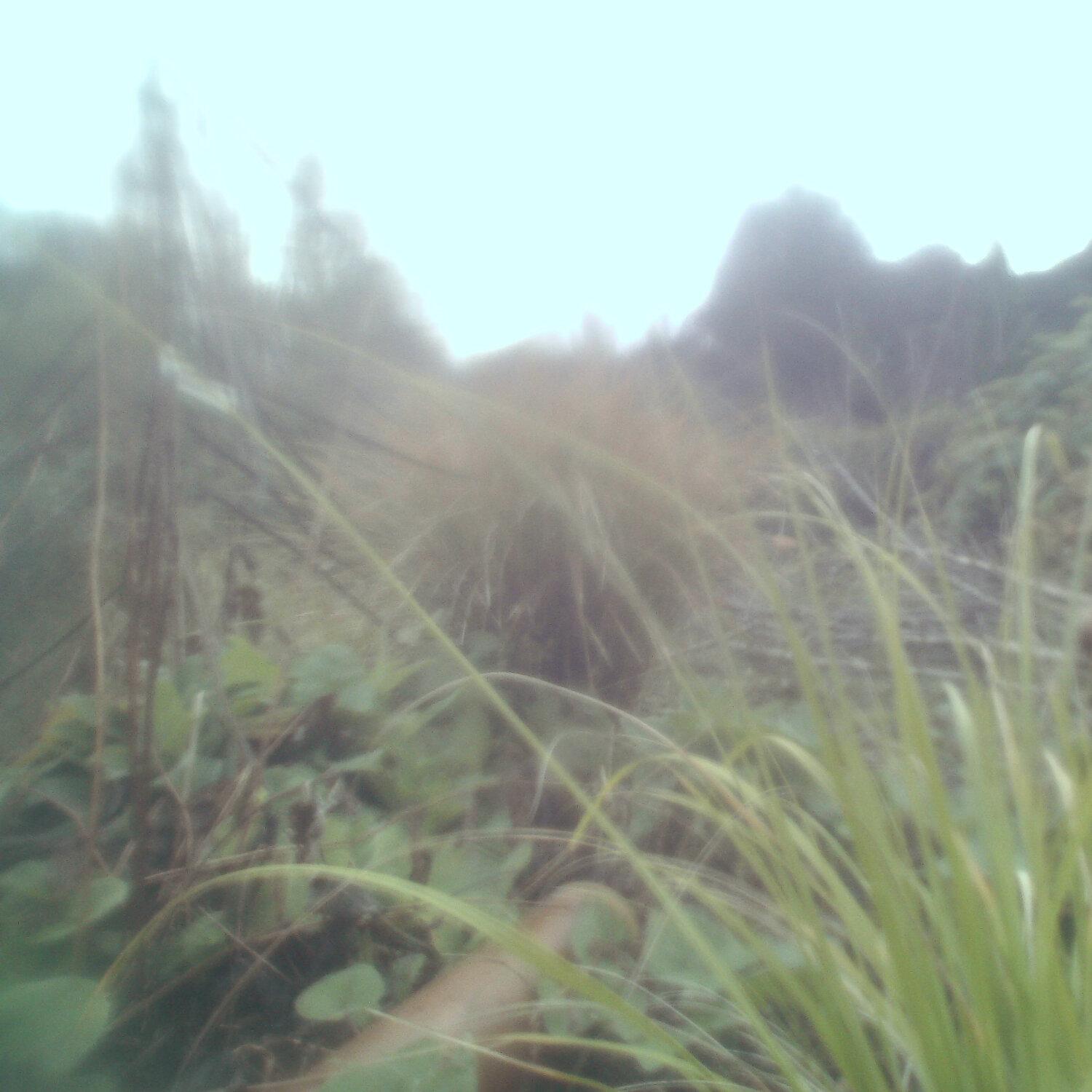 A photo captured from the webcam at the time the audio was recorded