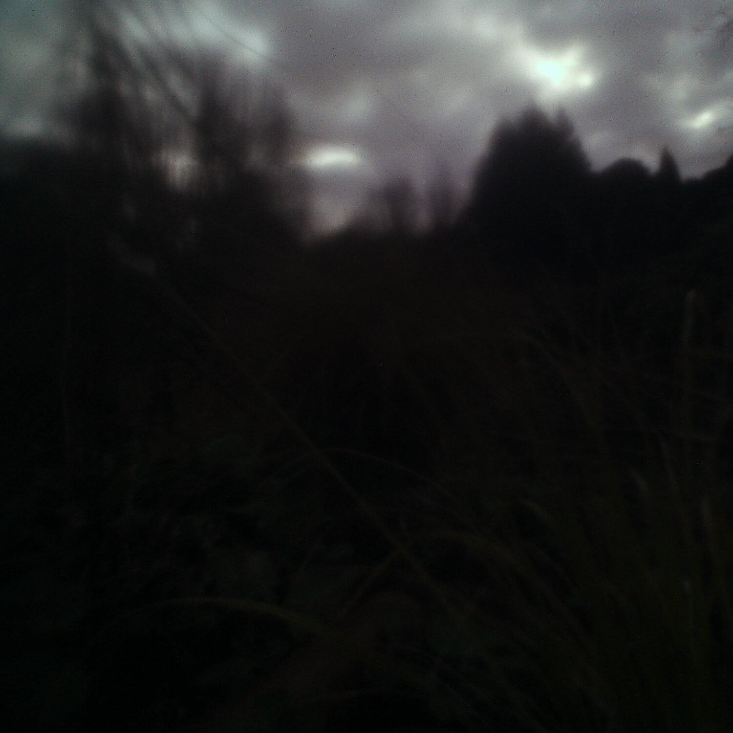 A photo captured from the webcam at the time the audio was recorded