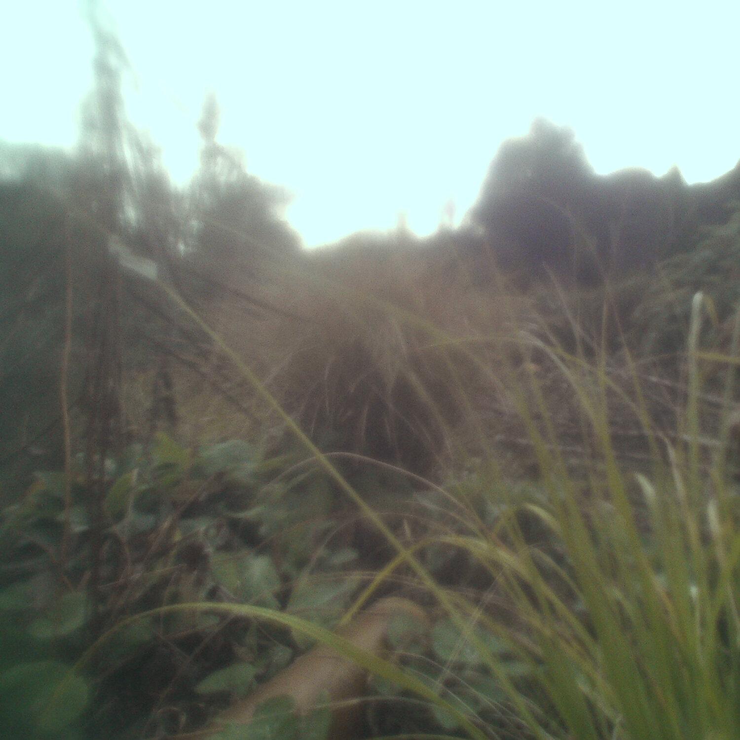A photo captured from the webcam at the time the audio was recorded