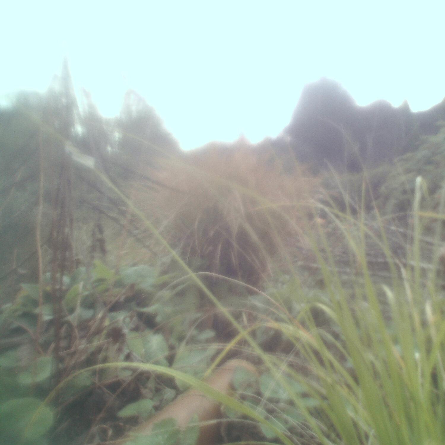 A photo captured from the webcam at the time the audio was recorded