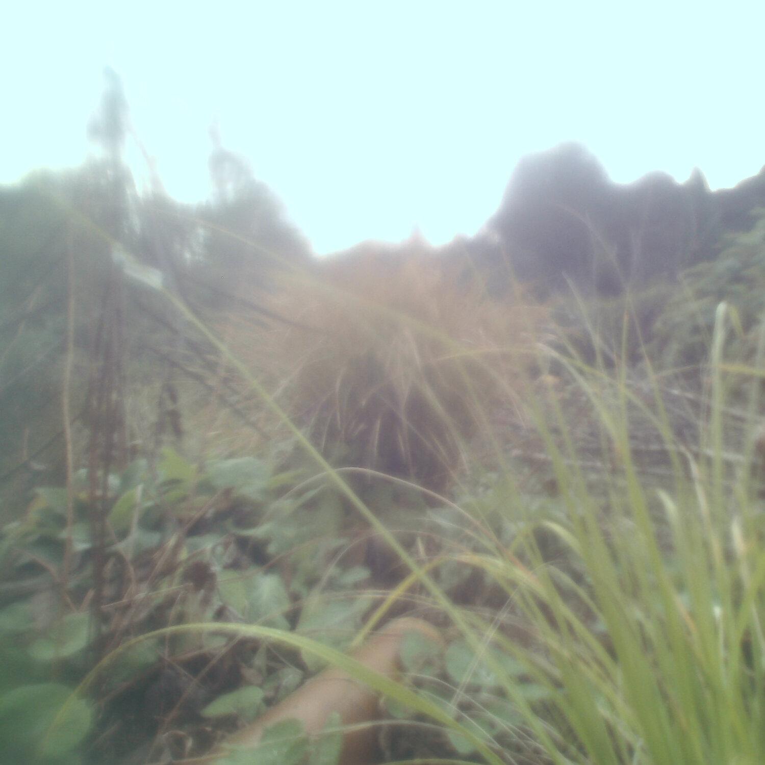 A photo captured from the webcam at the time the audio was recorded