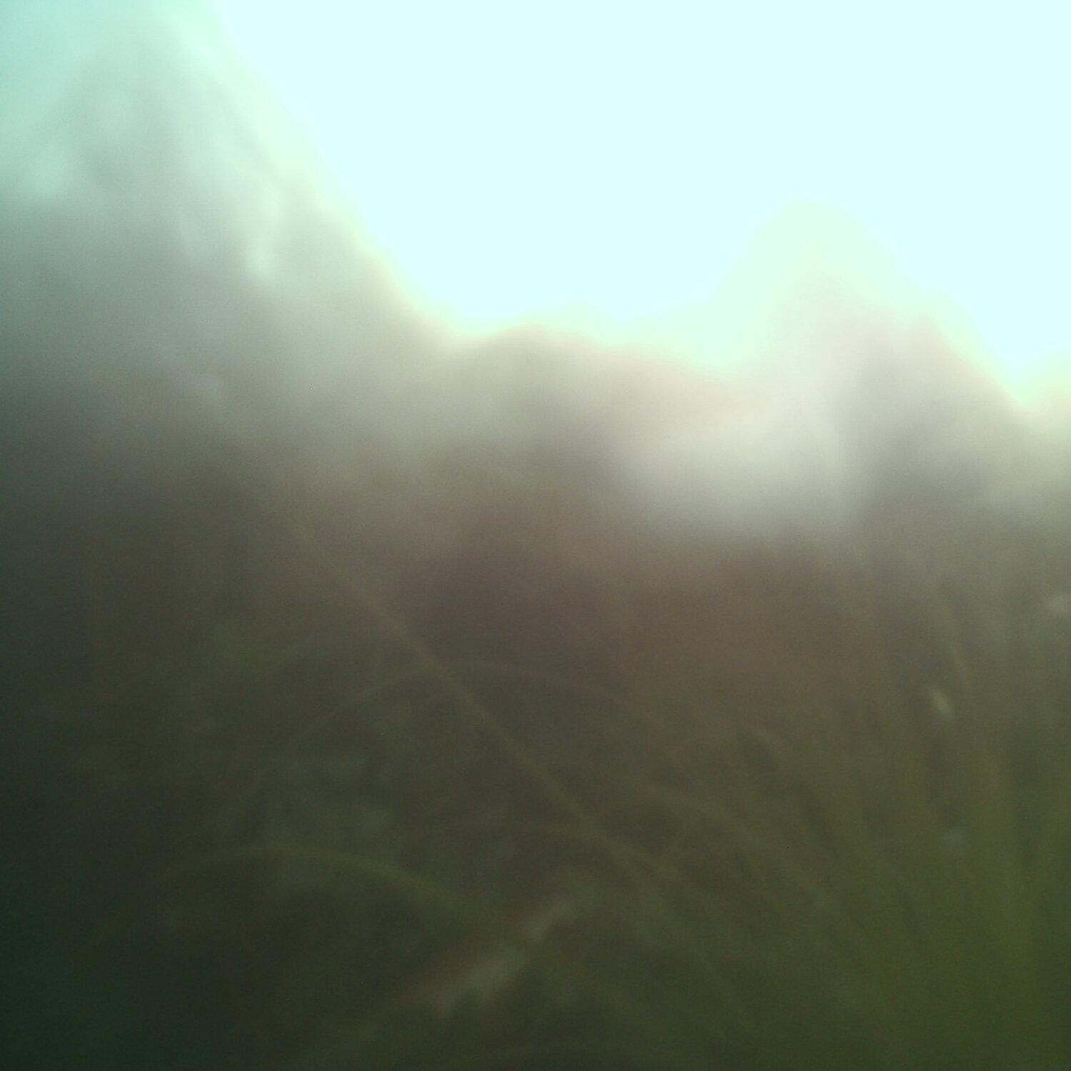 A photo captured from the webcam at the time the audio was recorded