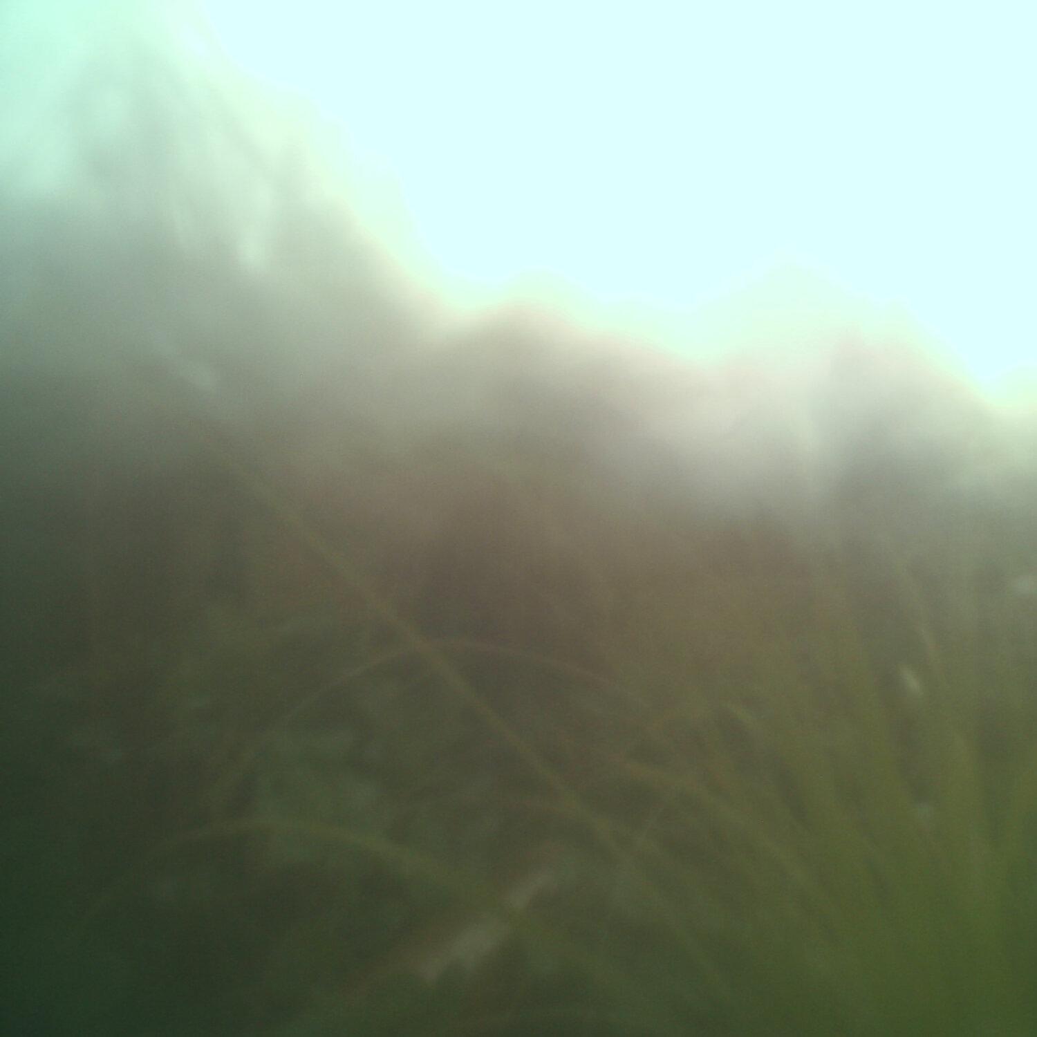 A photo captured from the webcam at the time the audio was recorded