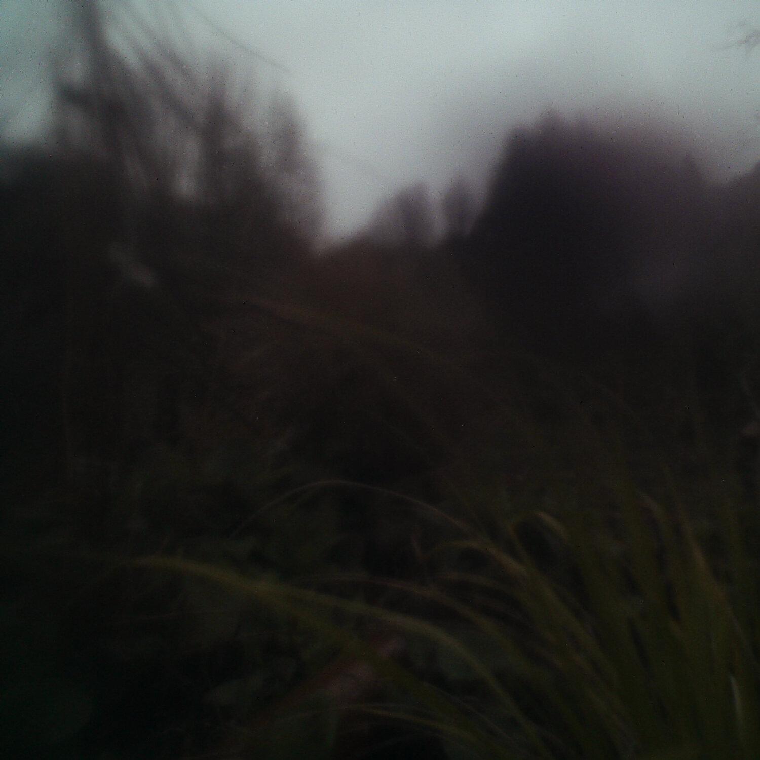 A photo captured from the webcam at the time the audio was recorded