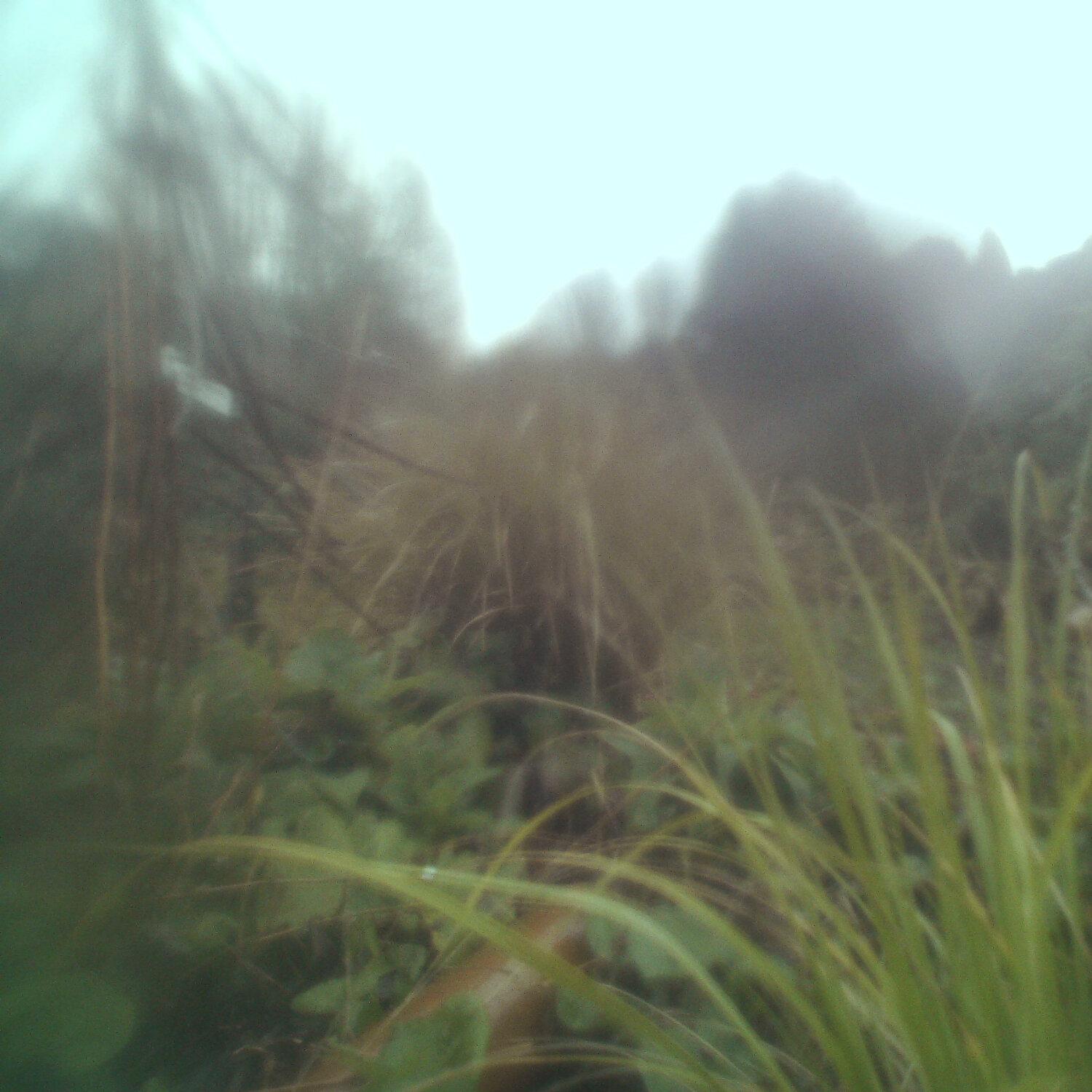 A photo captured from the webcam at the time the audio was recorded