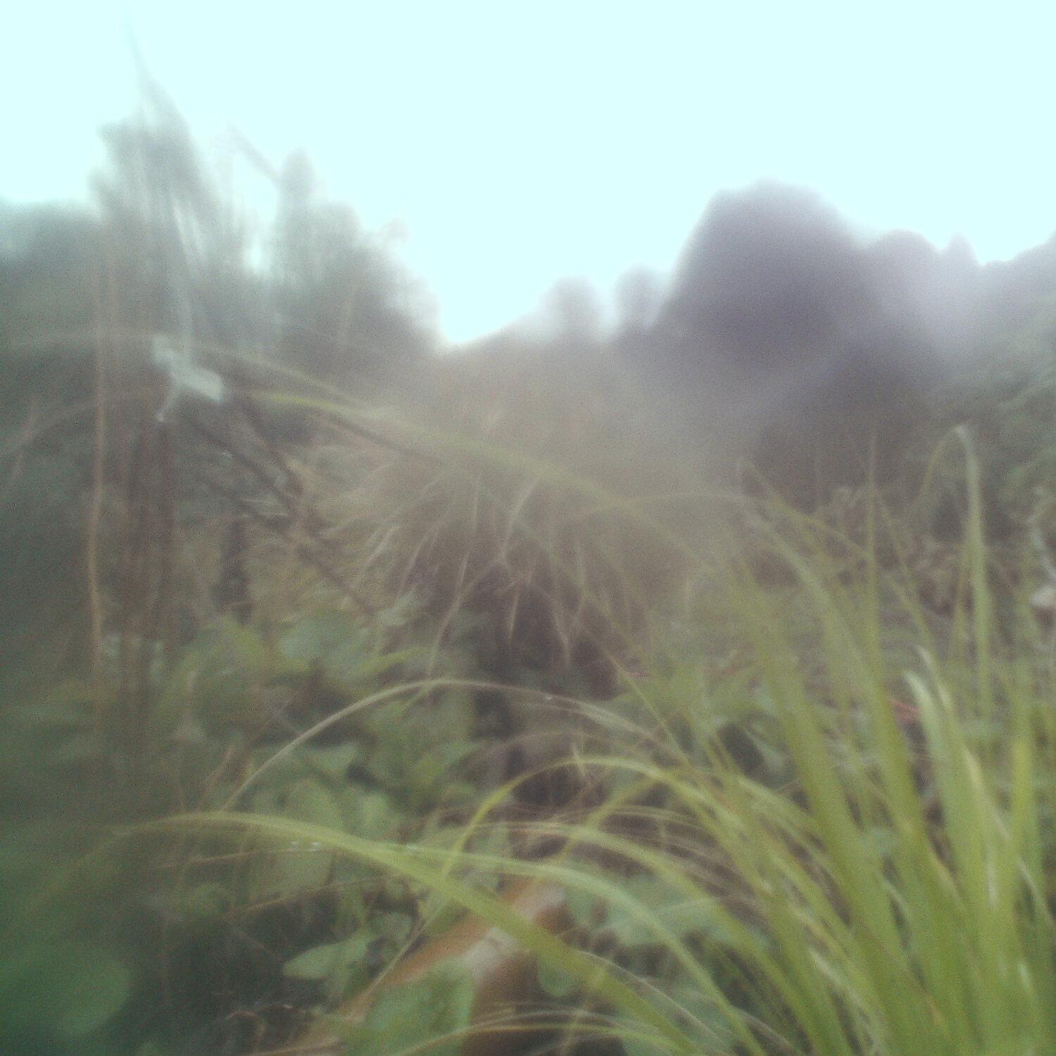 A photo captured from the webcam at the time the audio was recorded
