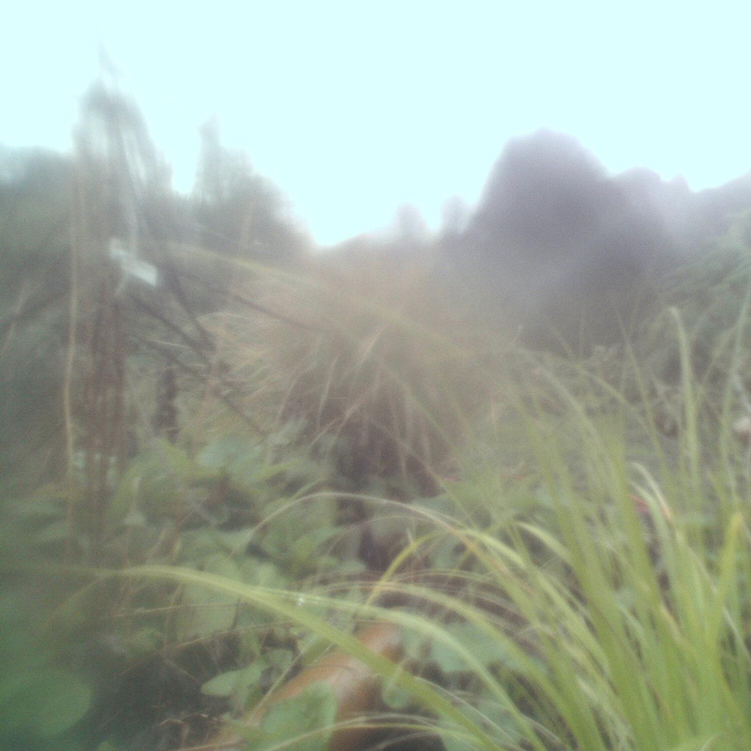 A photo captured from the webcam at the time the audio was recorded