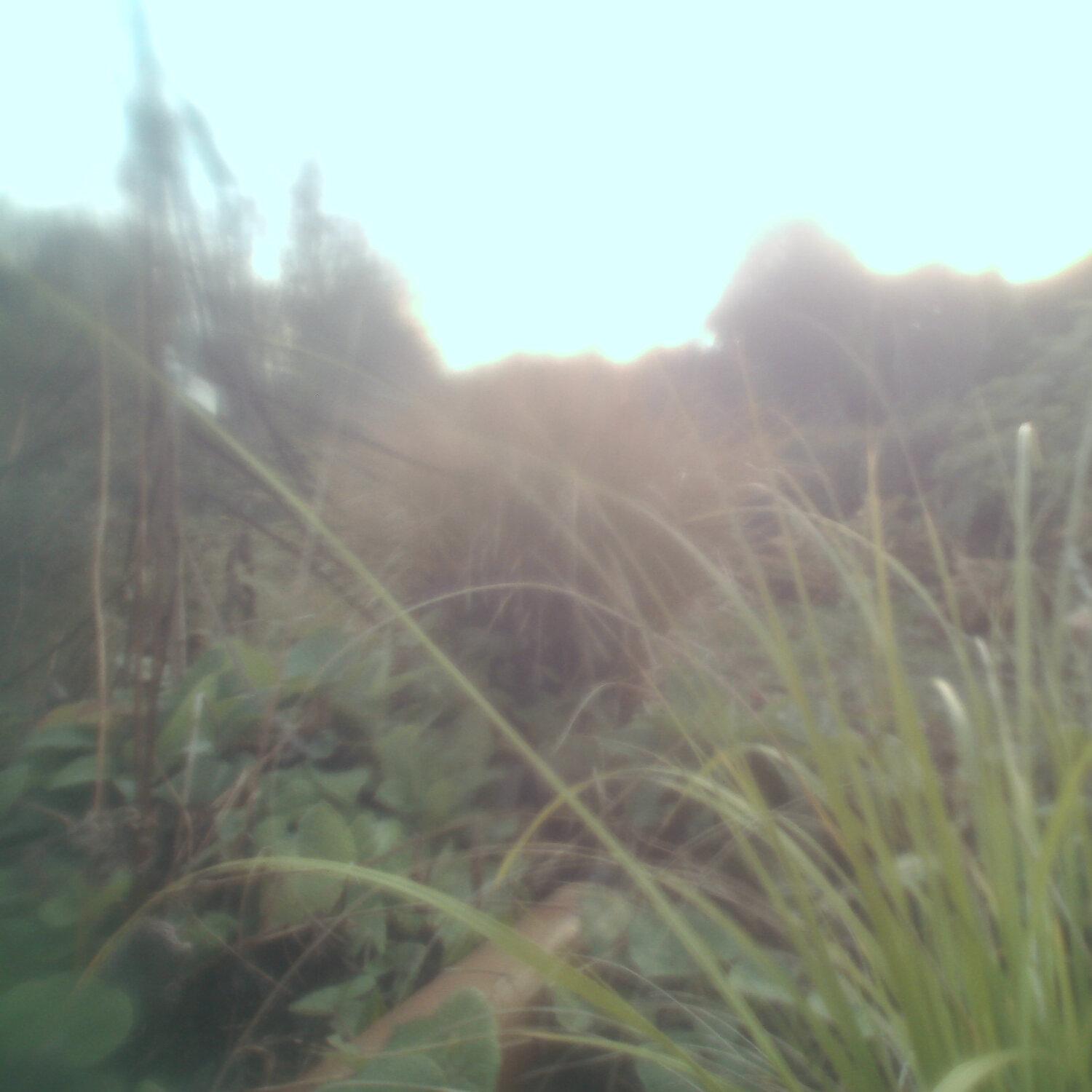A photo captured from the webcam at the time the audio was recorded