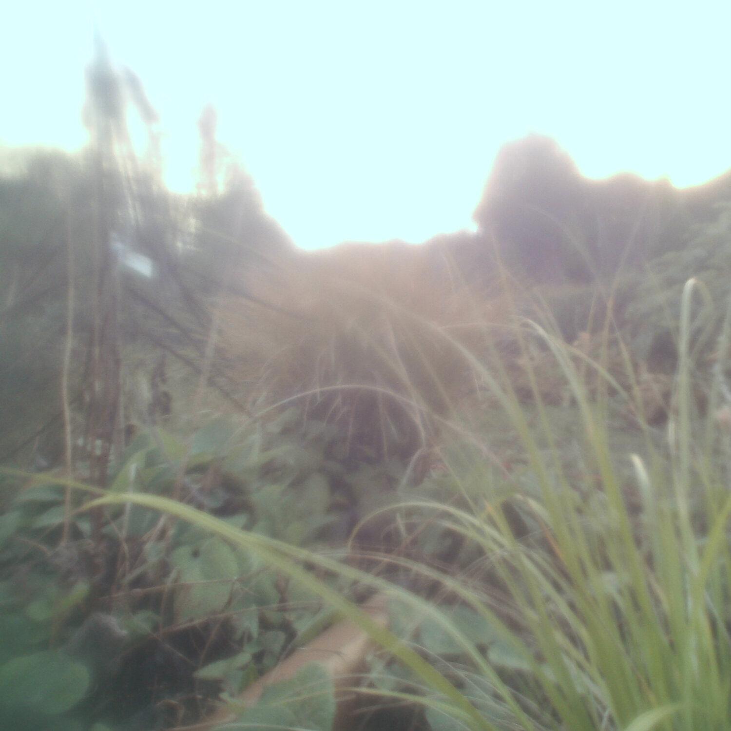A photo captured from the webcam at the time the audio was recorded