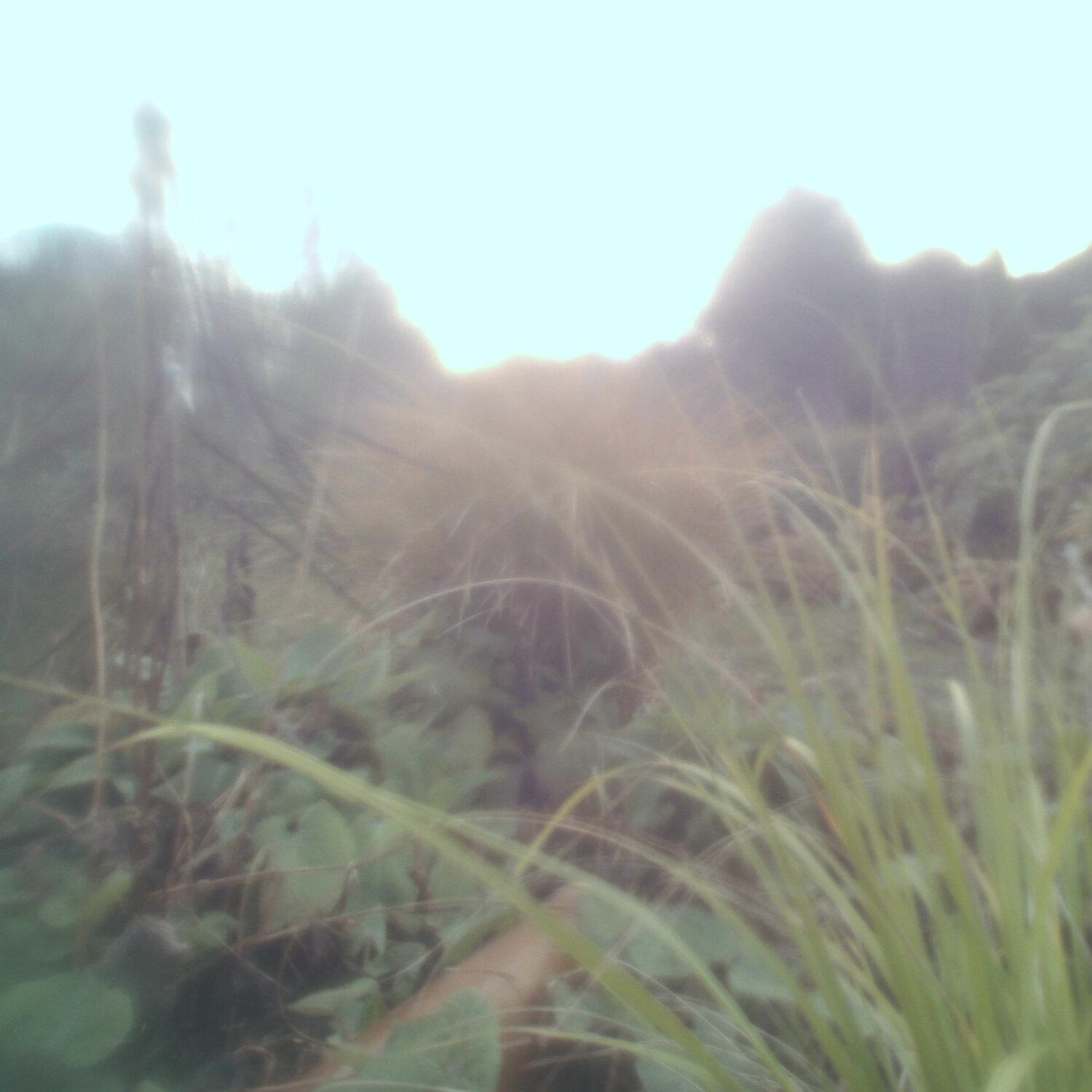 A photo captured from the webcam at the time the audio was recorded