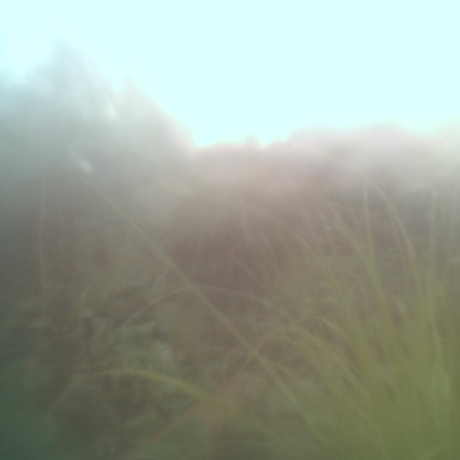 A photo captured from the webcam at the time the audio was recorded