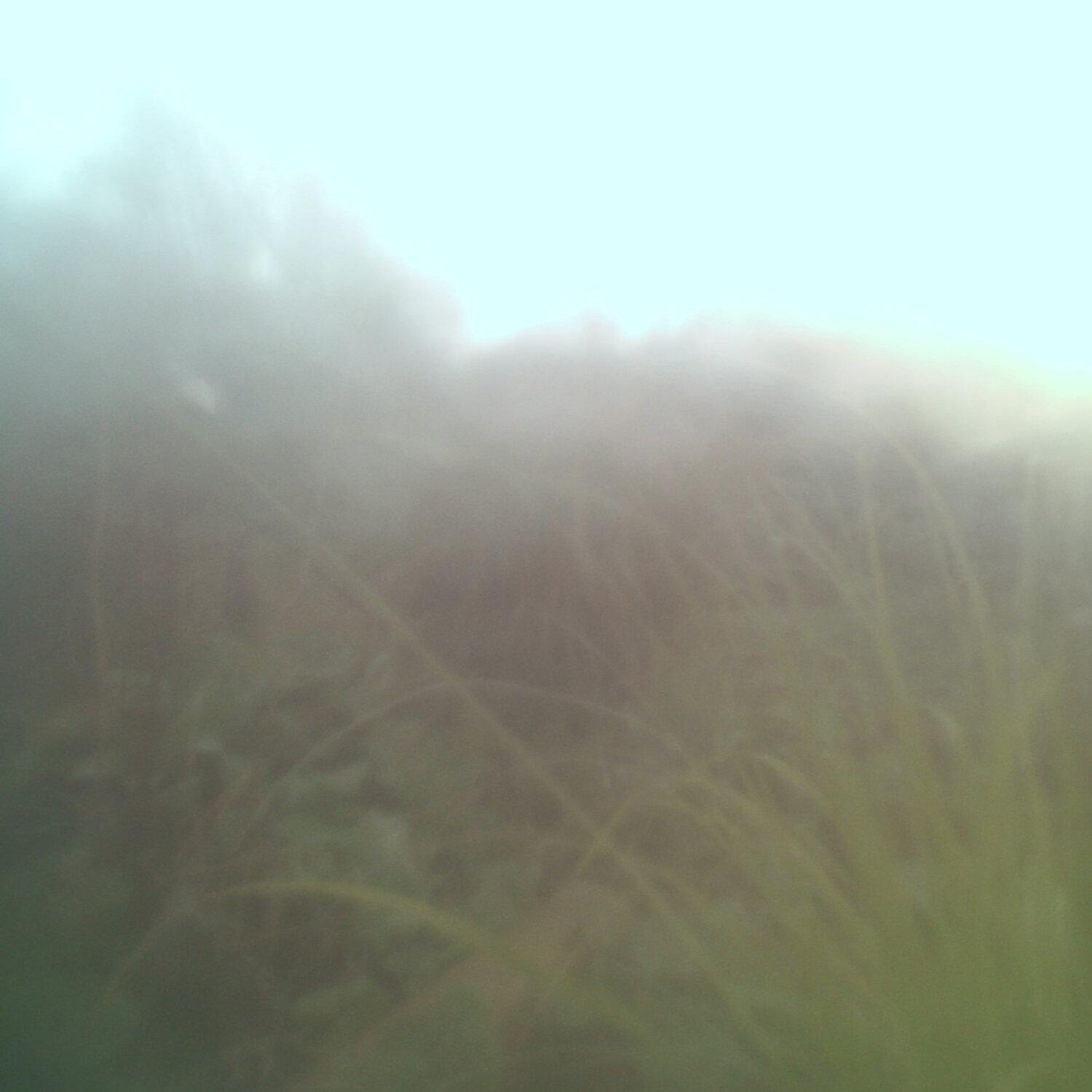 A photo captured from the webcam at the time the audio was recorded