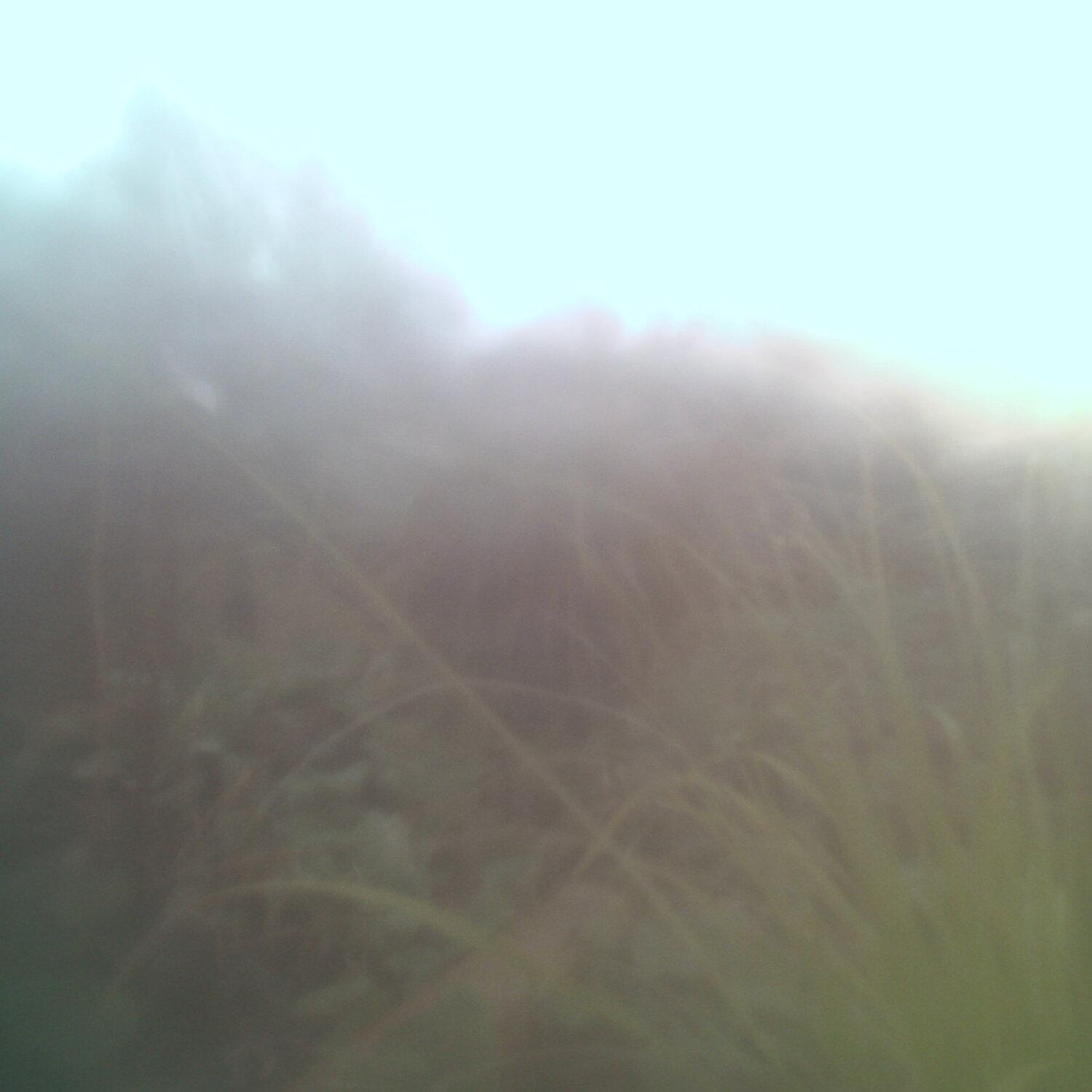 A photo captured from the webcam at the time the audio was recorded
