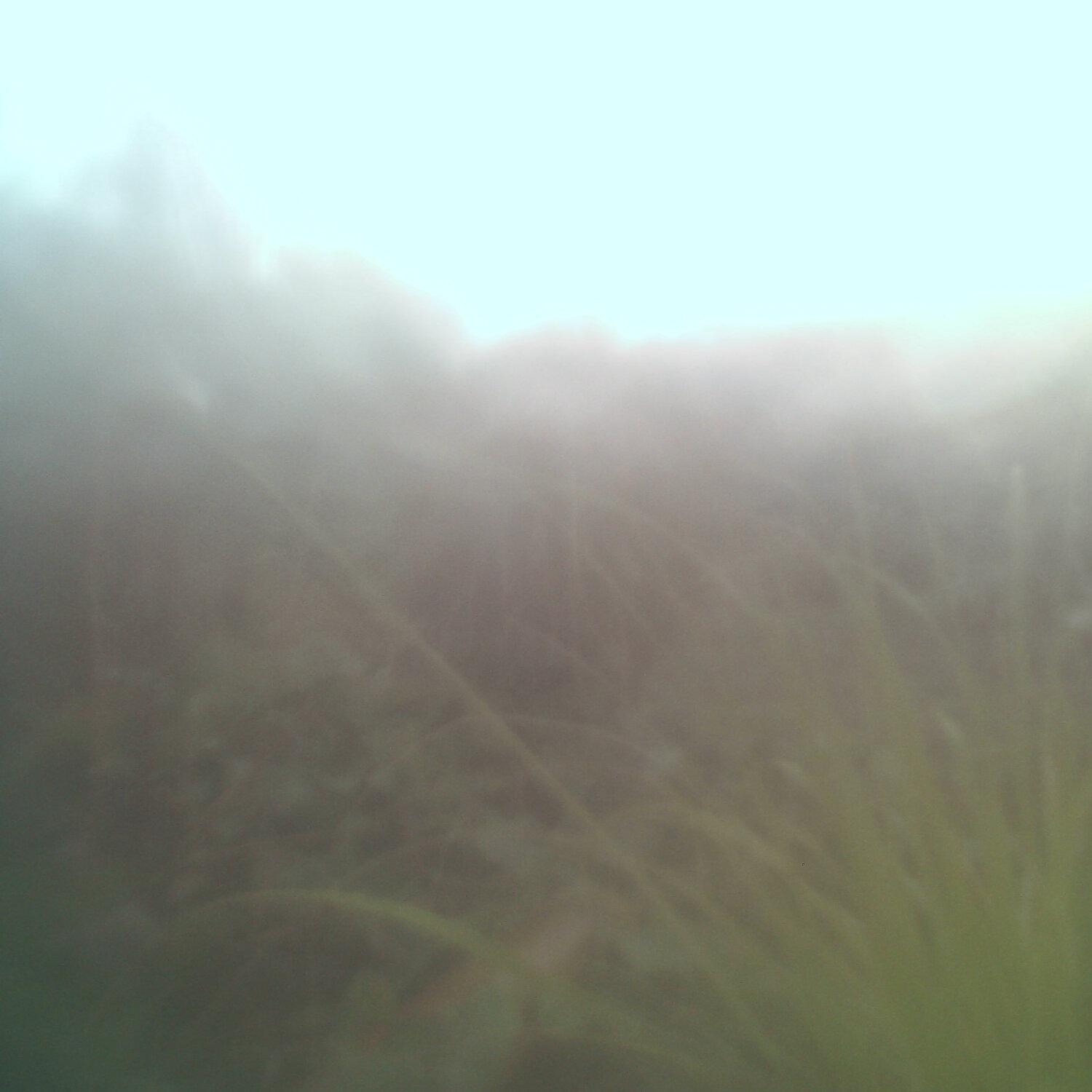 A photo captured from the webcam at the time the audio was recorded
