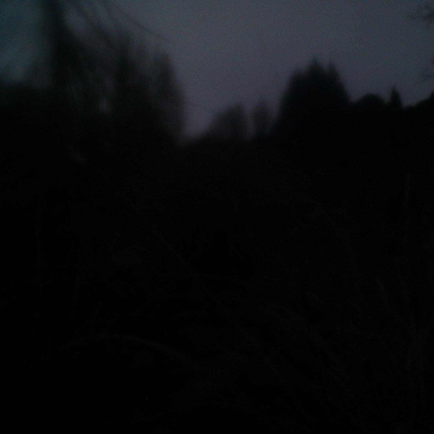 A photo captured from the webcam at the time the audio was recorded