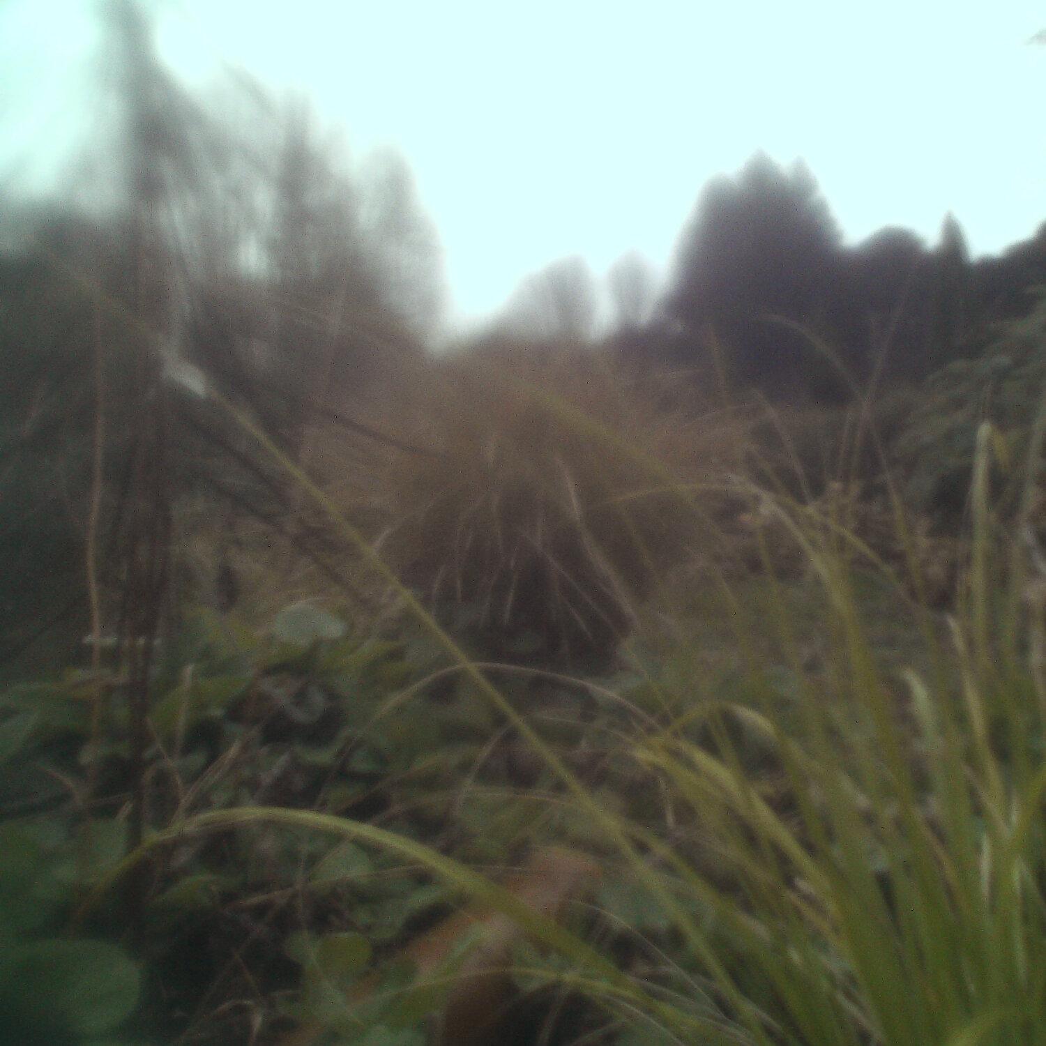 A photo captured from the webcam at the time the audio was recorded