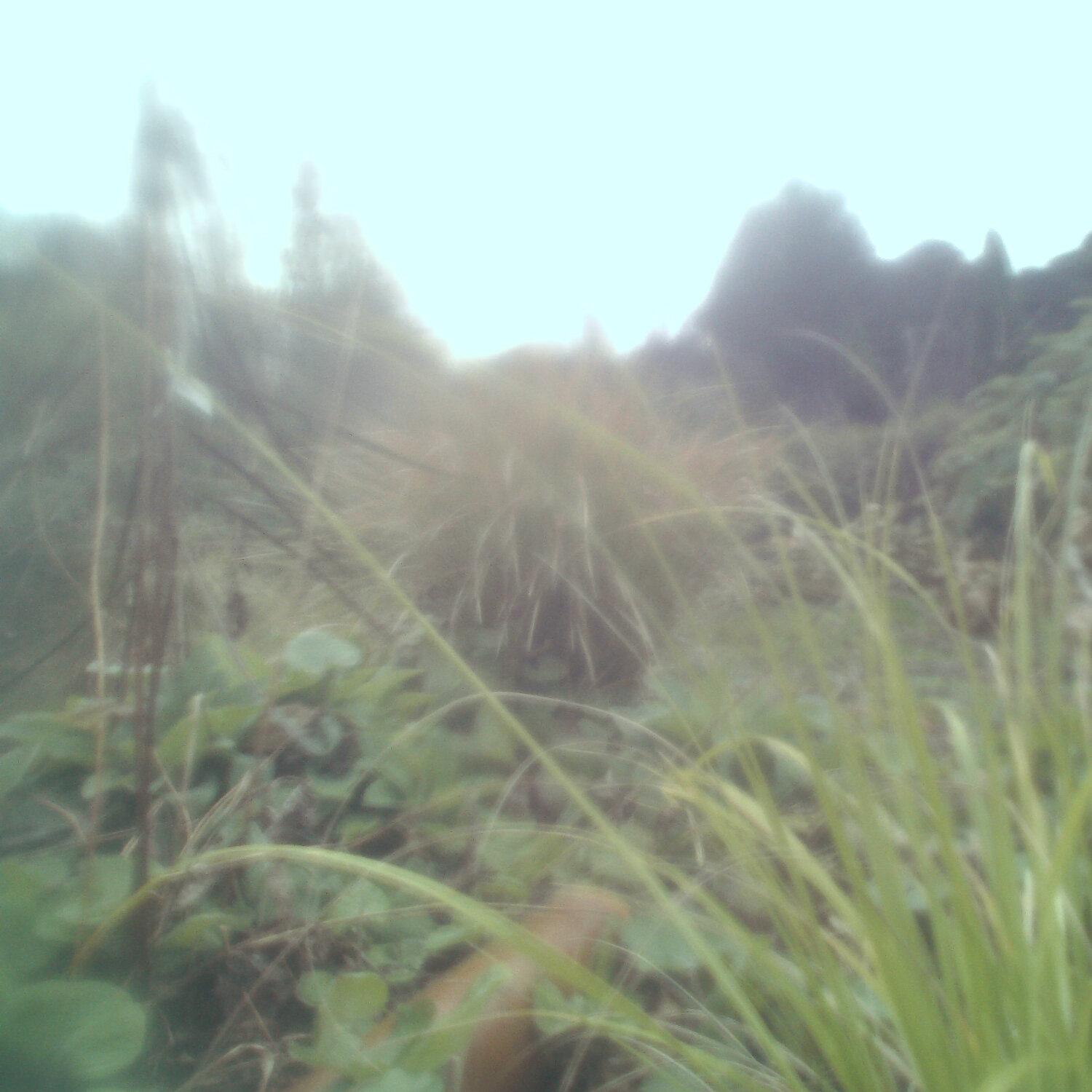 A photo captured from the webcam at the time the audio was recorded