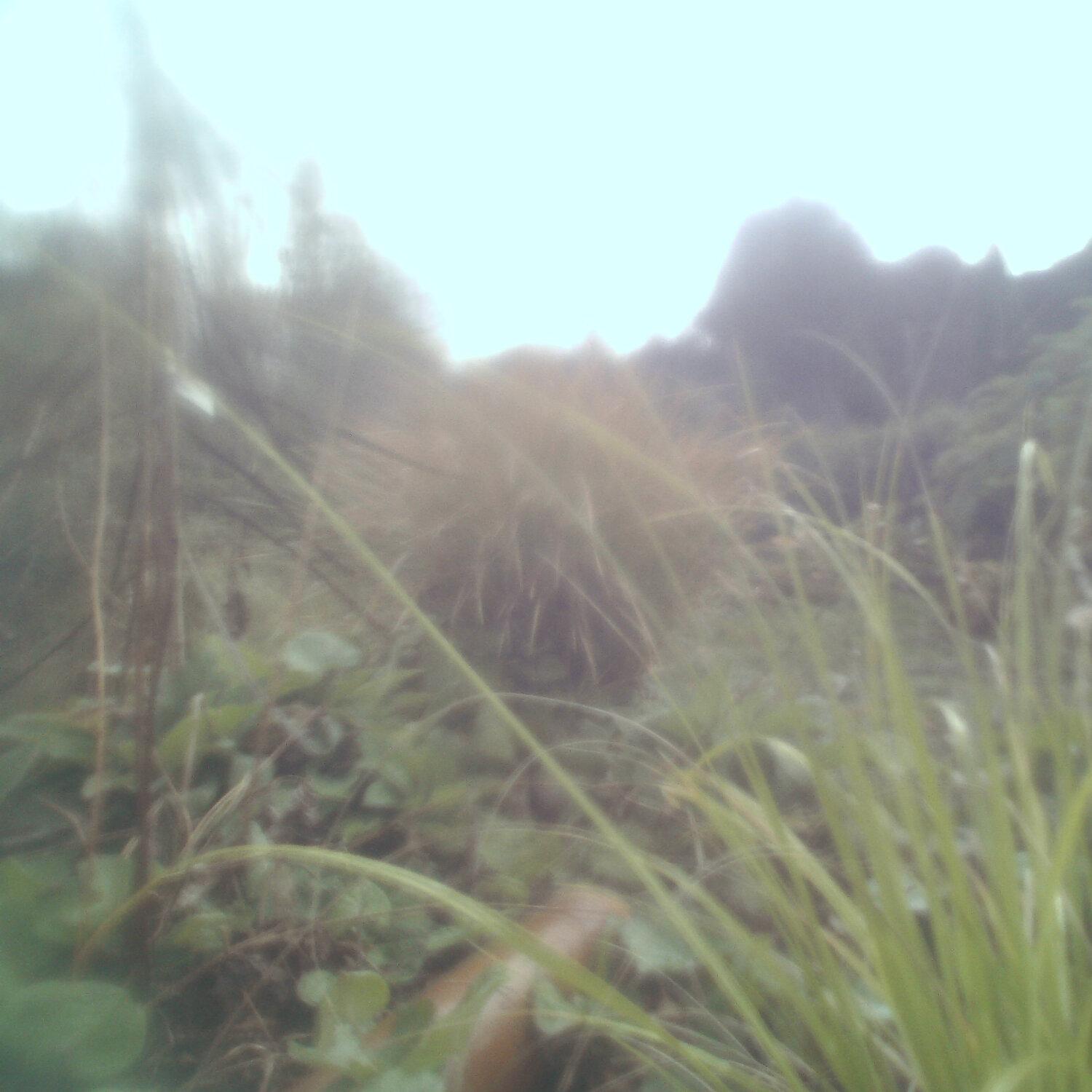 A photo captured from the webcam at the time the audio was recorded