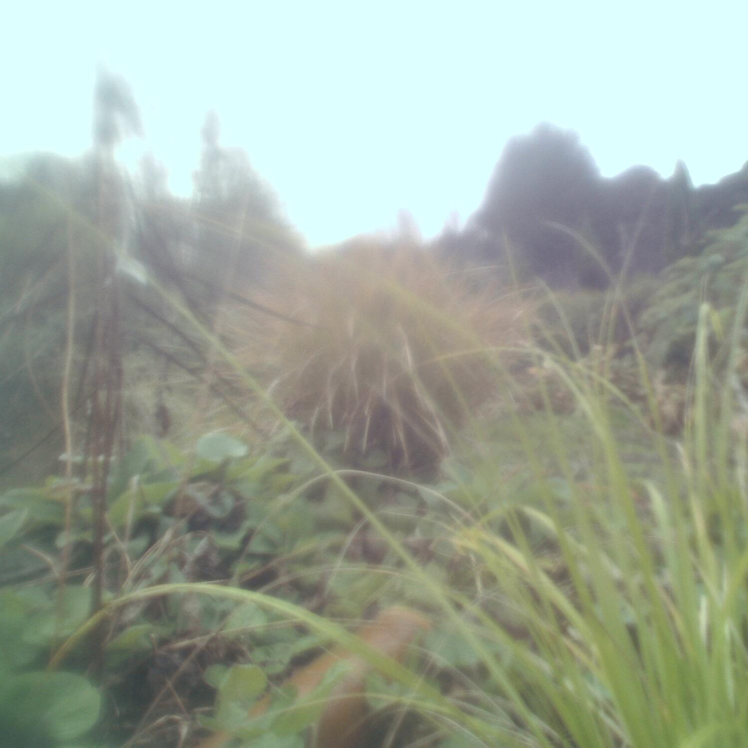 A photo captured from the webcam at the time the audio was recorded