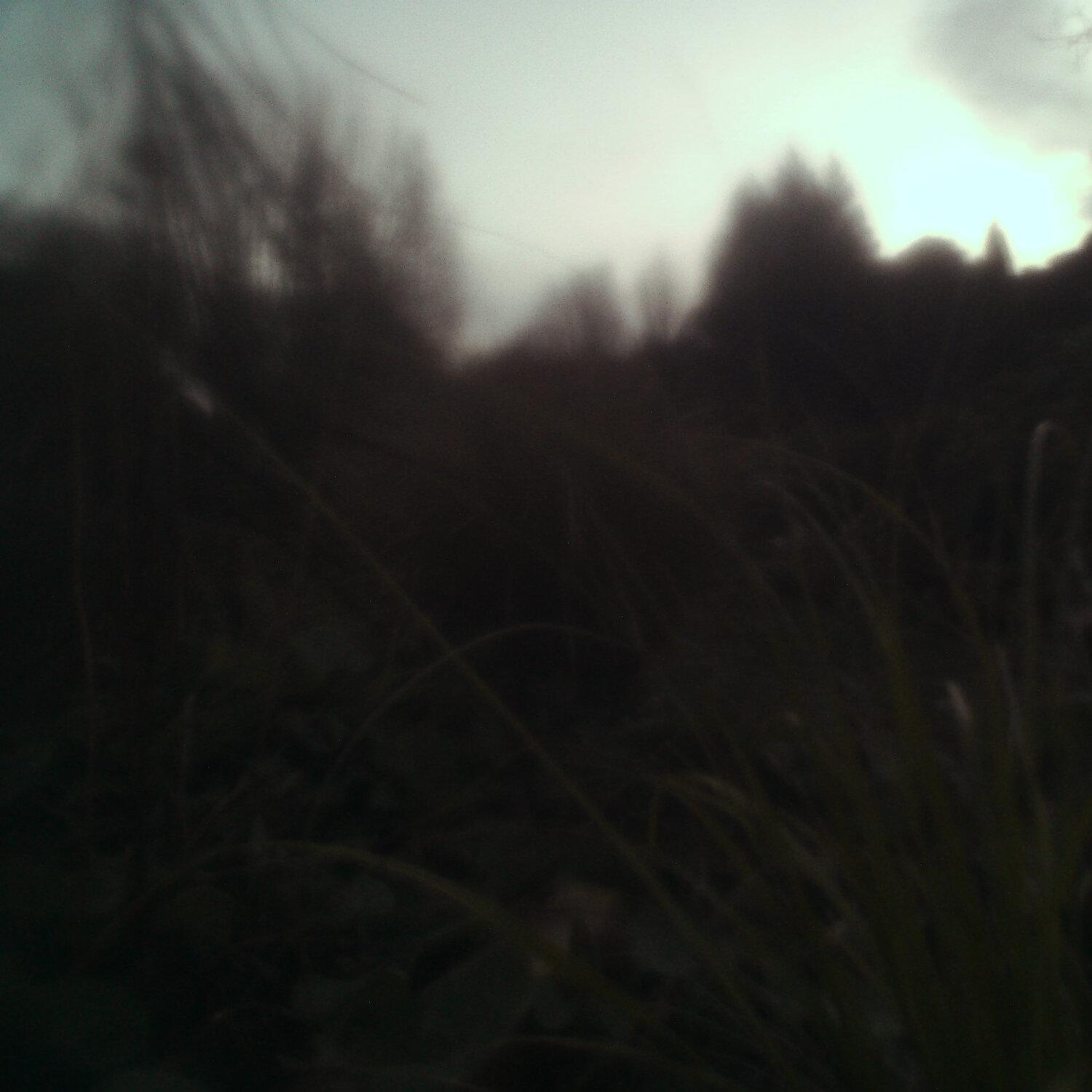 A photo captured from the webcam at the time the audio was recorded