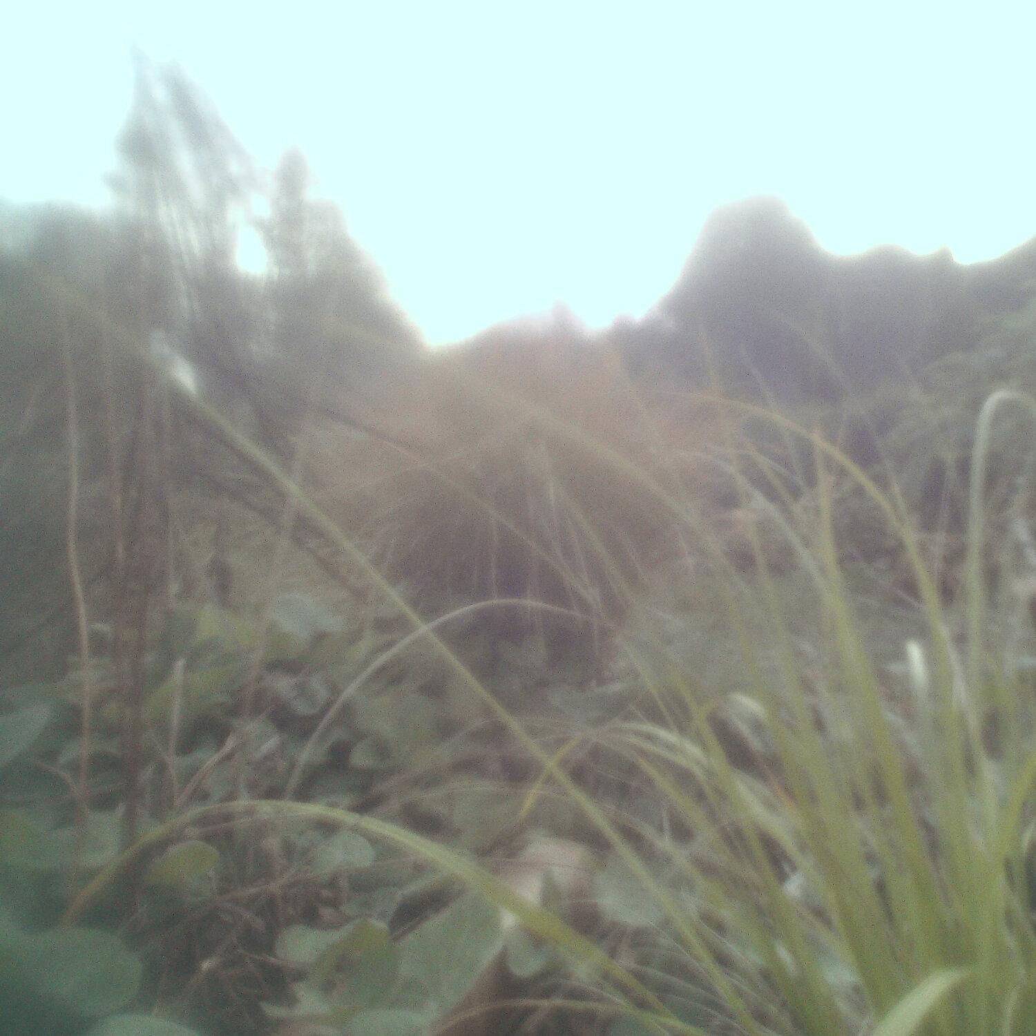 A photo captured from the webcam at the time the audio was recorded
