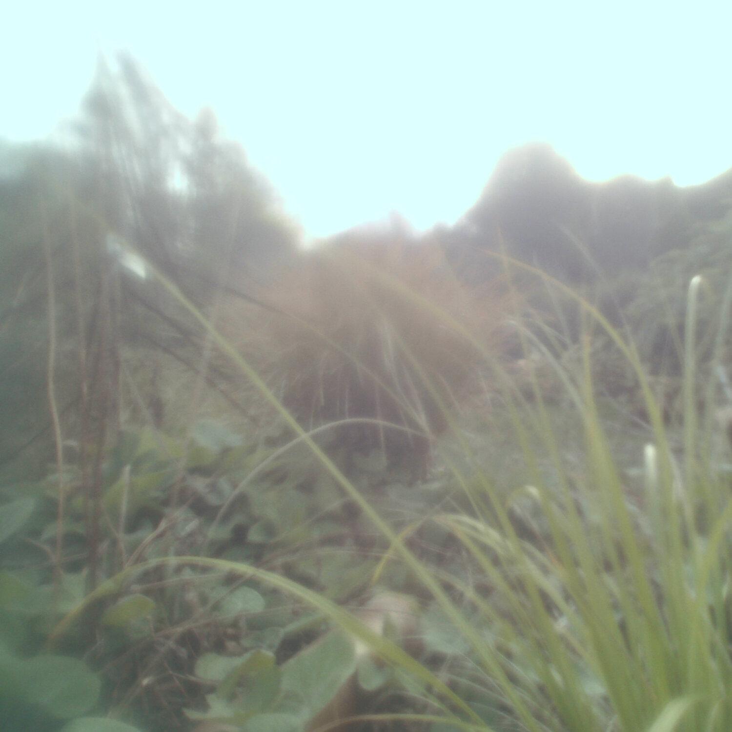 A photo captured from the webcam at the time the audio was recorded