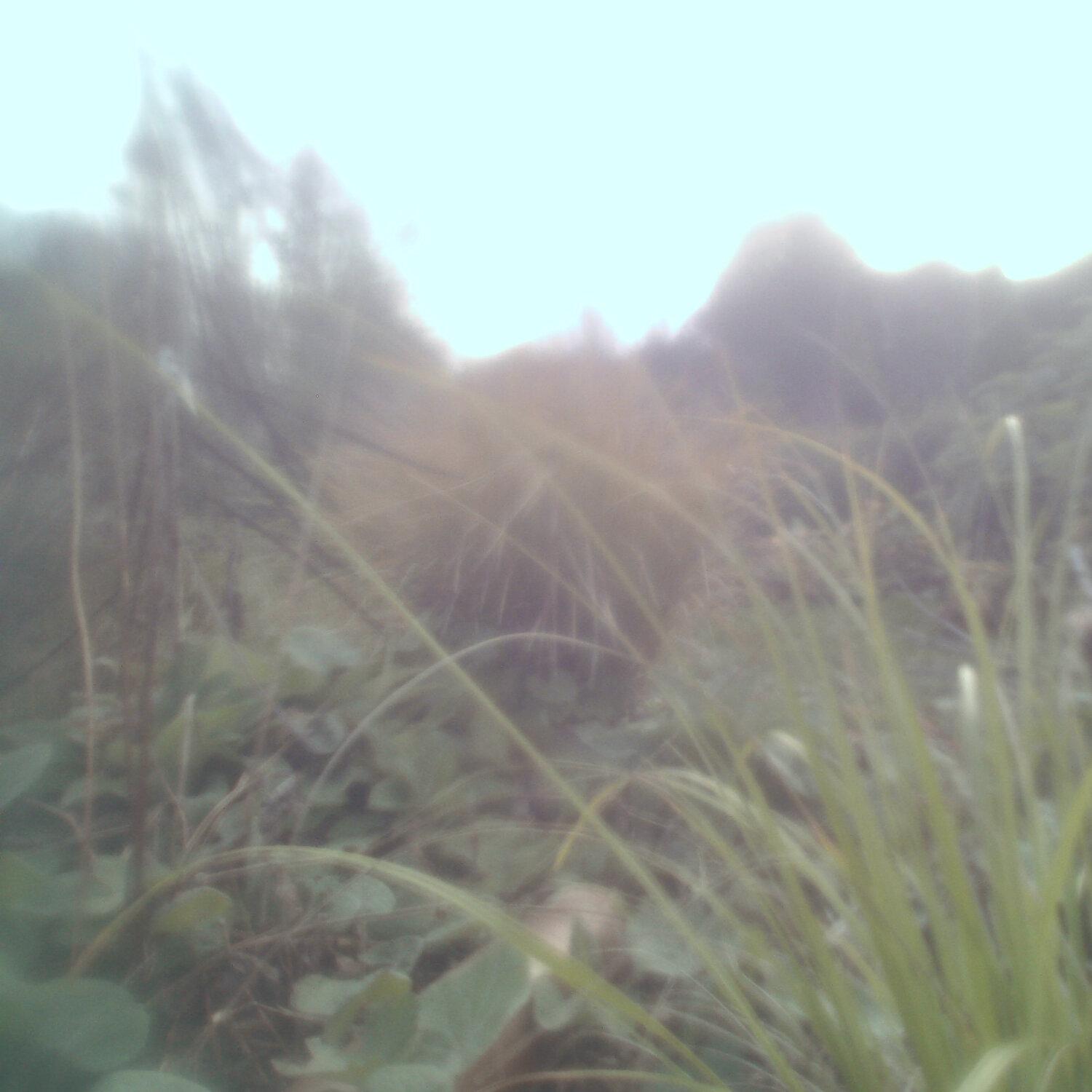 A photo captured from the webcam at the time the audio was recorded